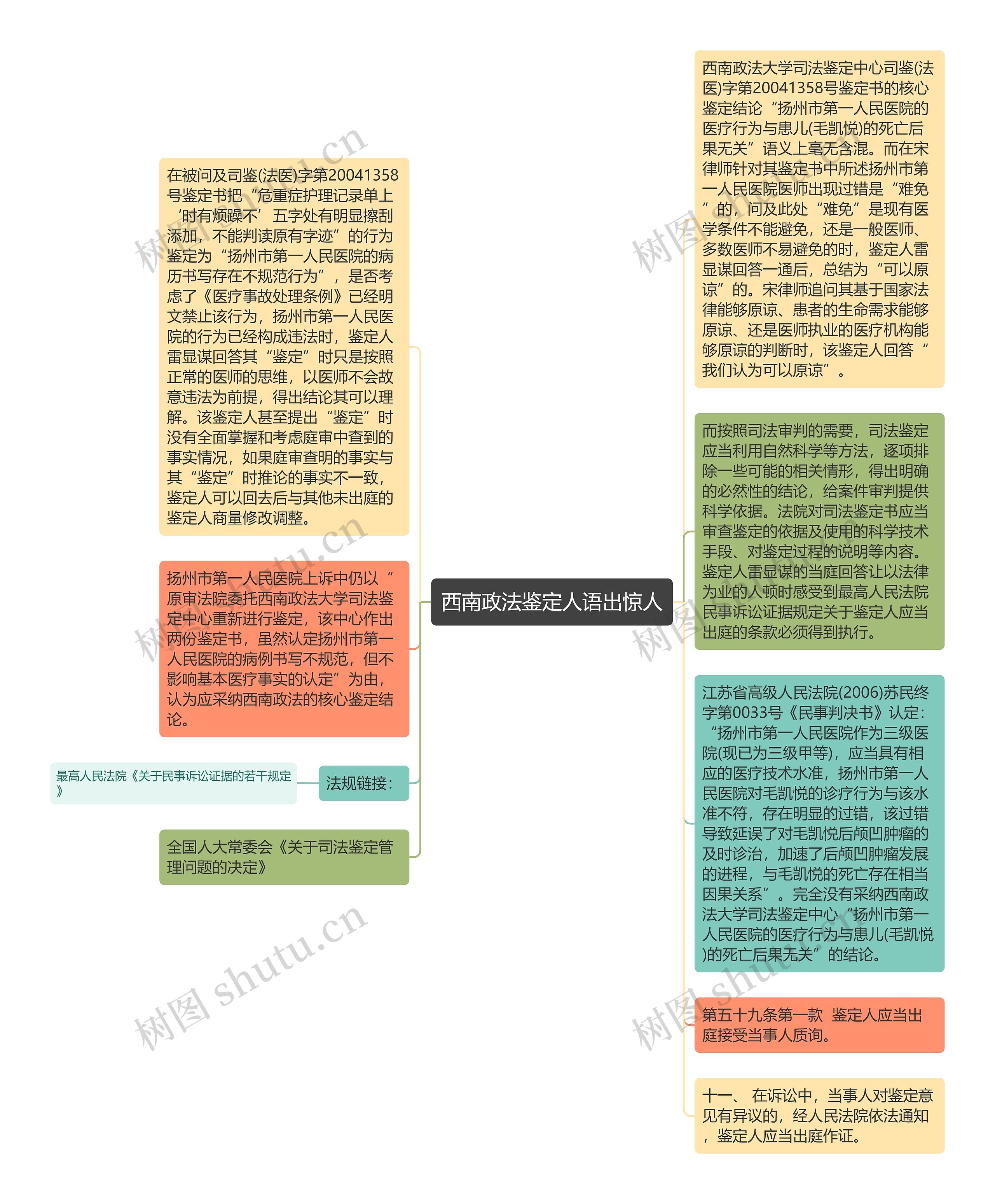 西南政法鉴定人语出惊人