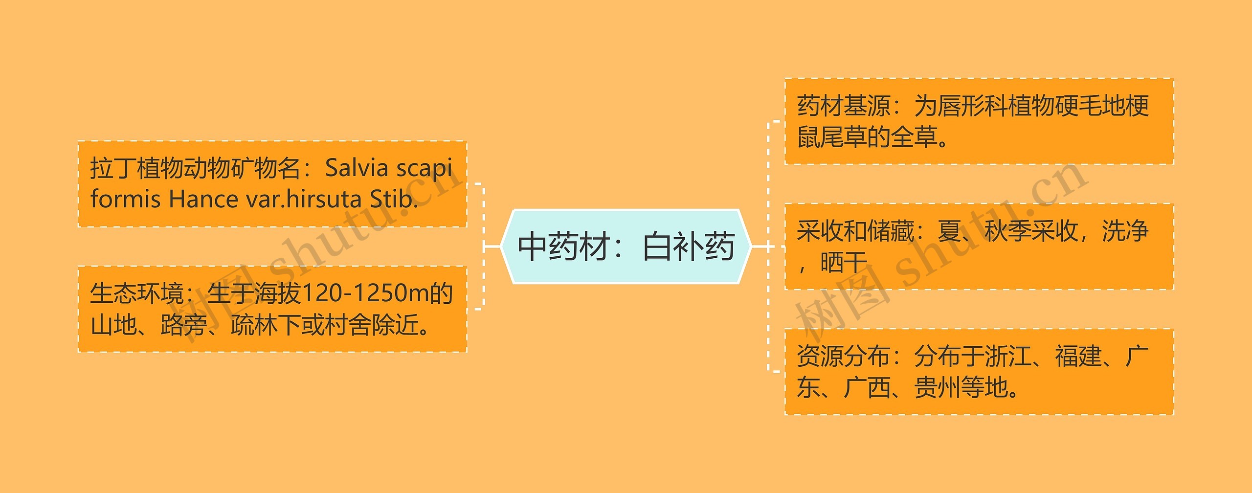 中药材：白补药思维导图