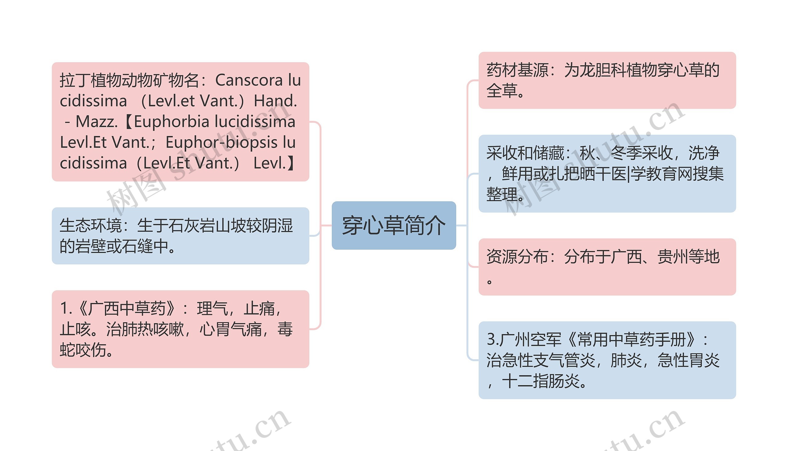 穿心草简介思维导图