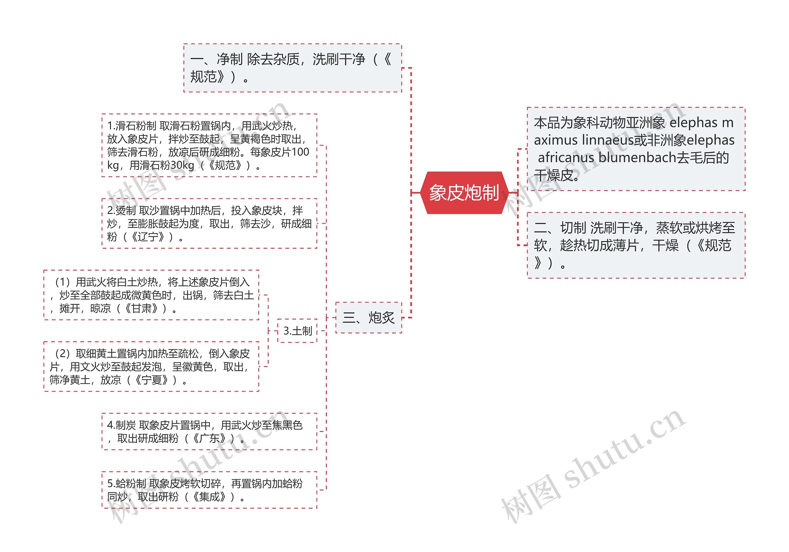 象皮炮制