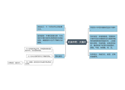 叶类中药：大青叶思维导图