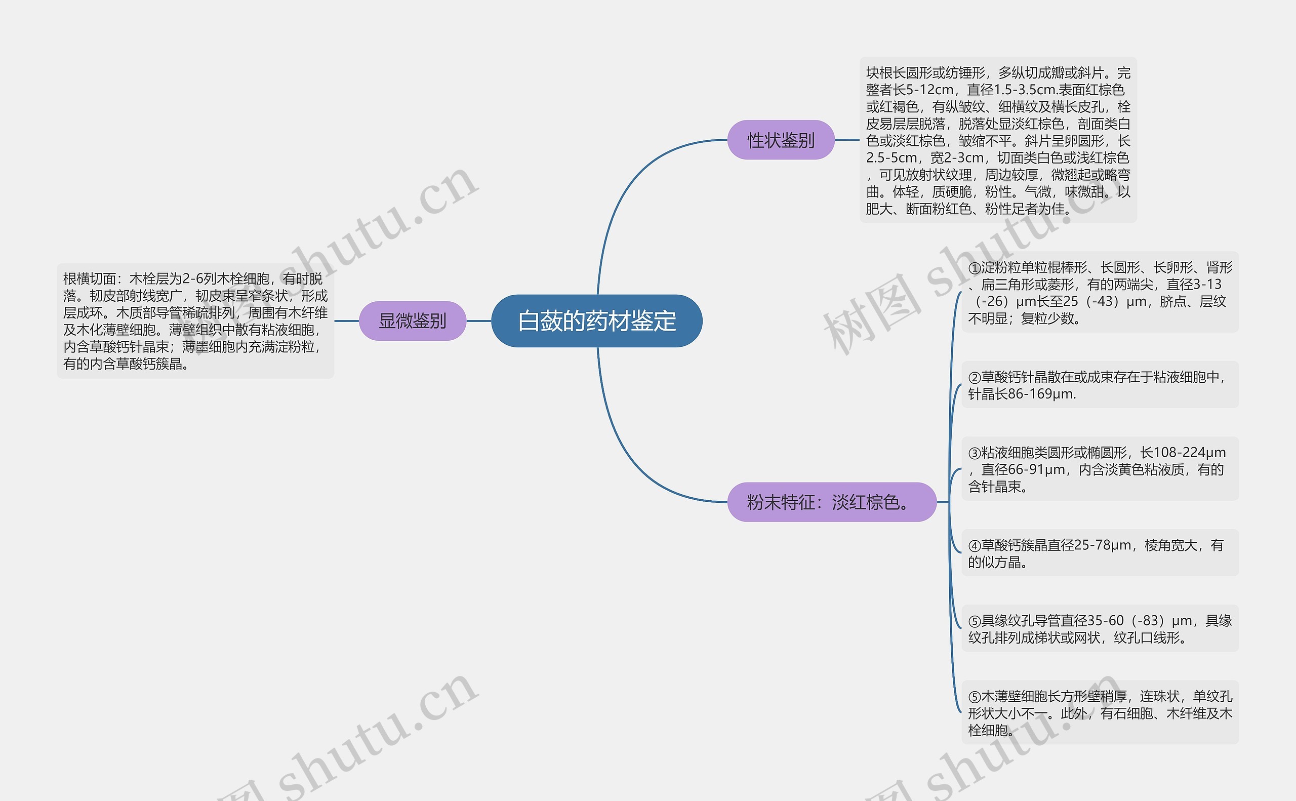 白蔹的药材鉴定思维导图