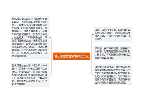 糖皮质激素体内吸收过程