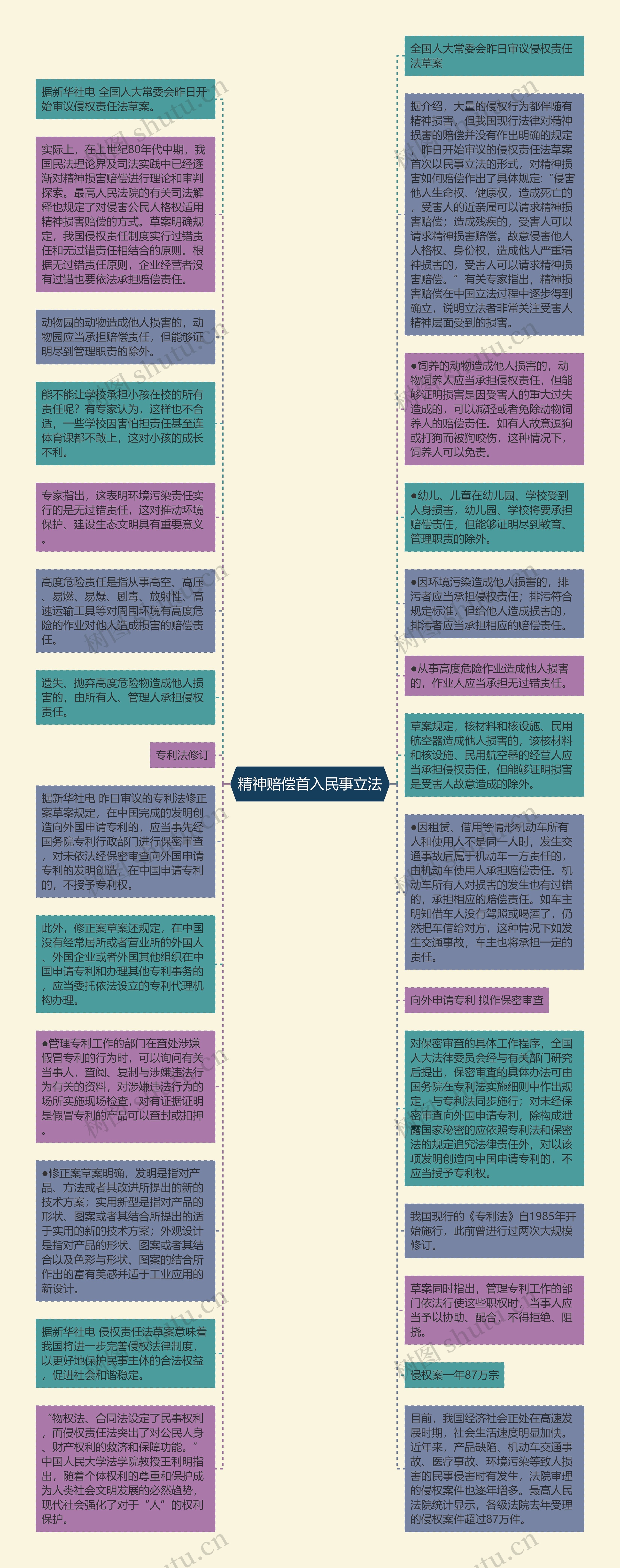 精神赔偿首入民事立法