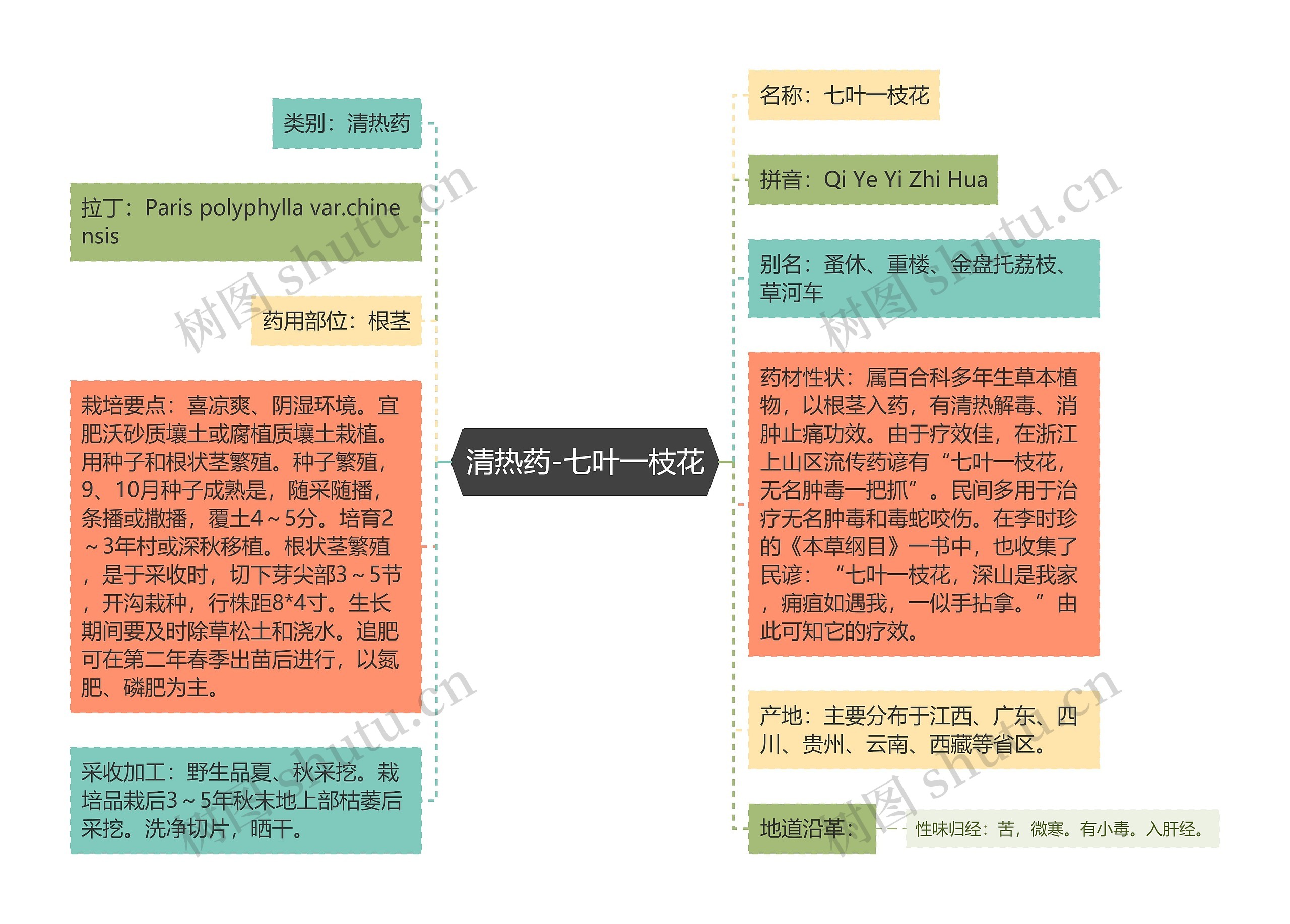 清热药-七叶一枝花思维导图