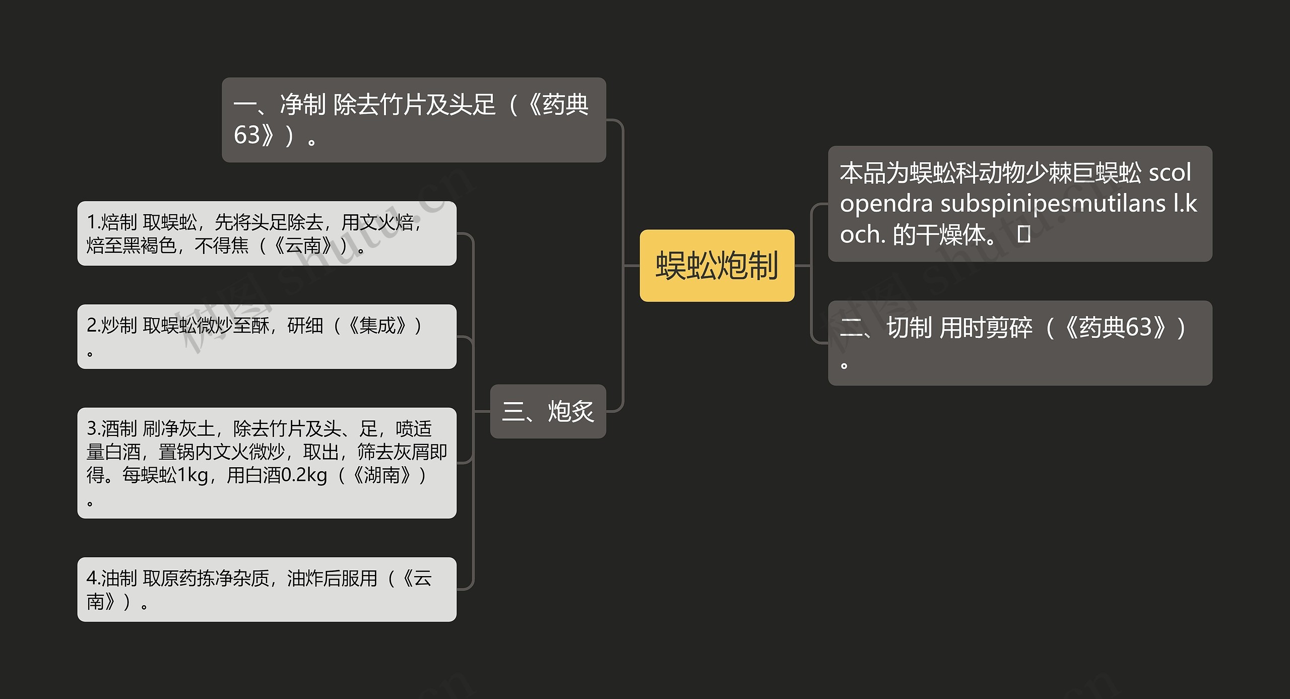 蜈蚣炮制思维导图