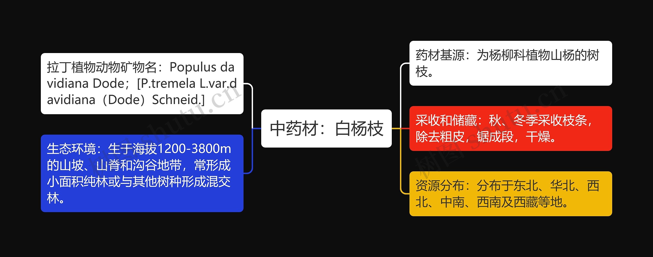 中药材:白杨枝 中药材:白杨枝