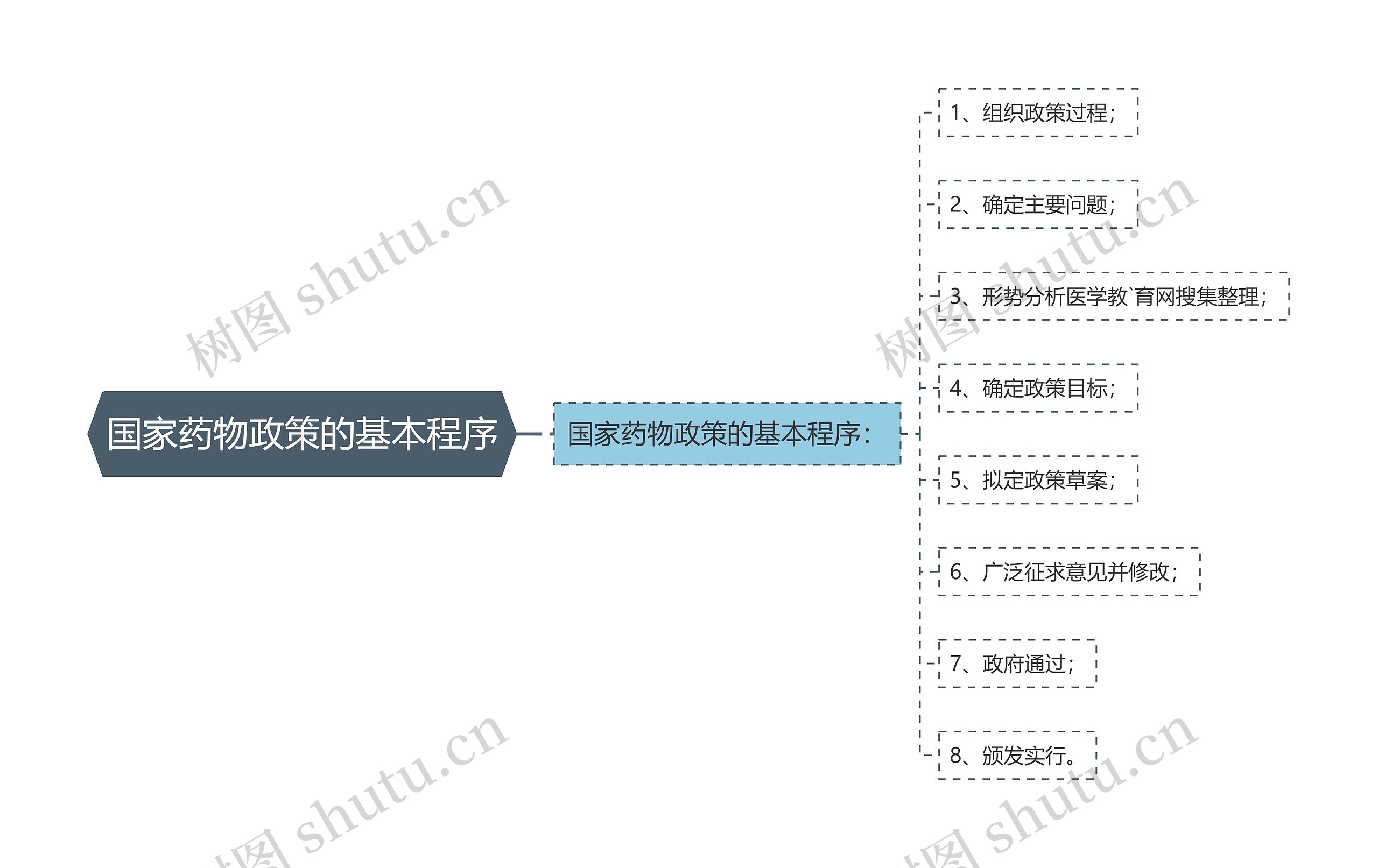 国家药物政策的基本程序思维导图