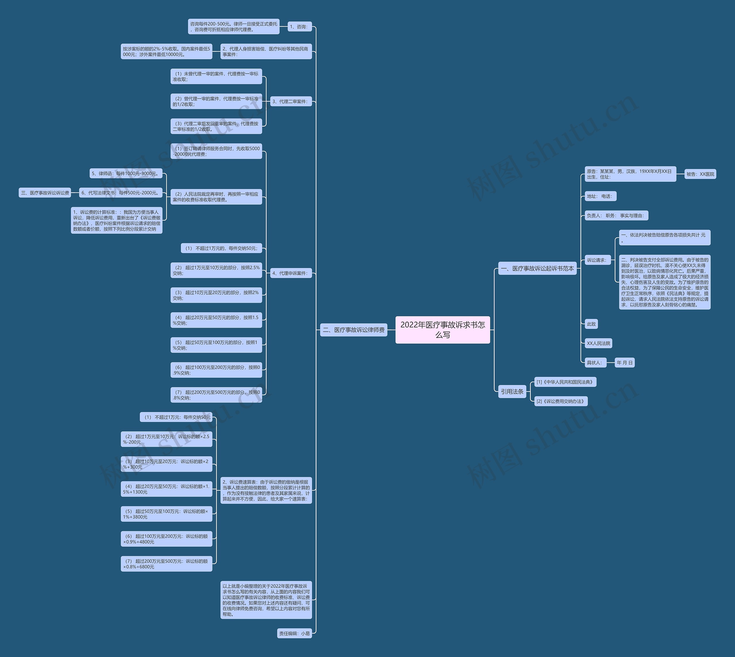 2022年医疗事故诉求书怎么写思维导图