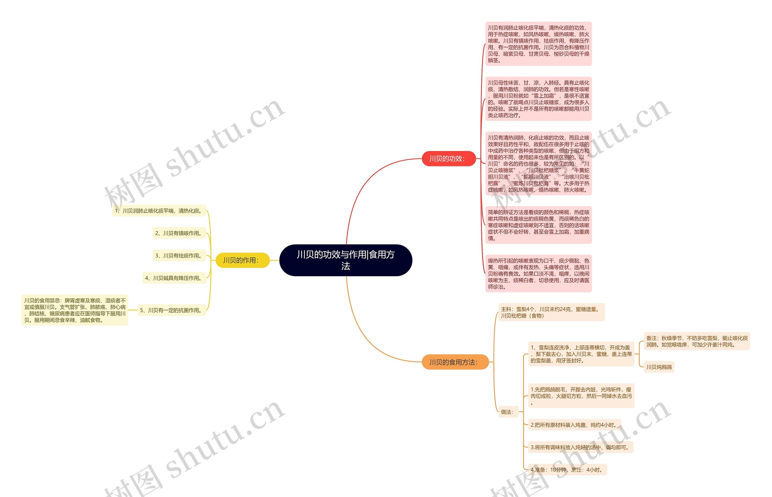 川贝的功效与作用|食用方法思维导图
