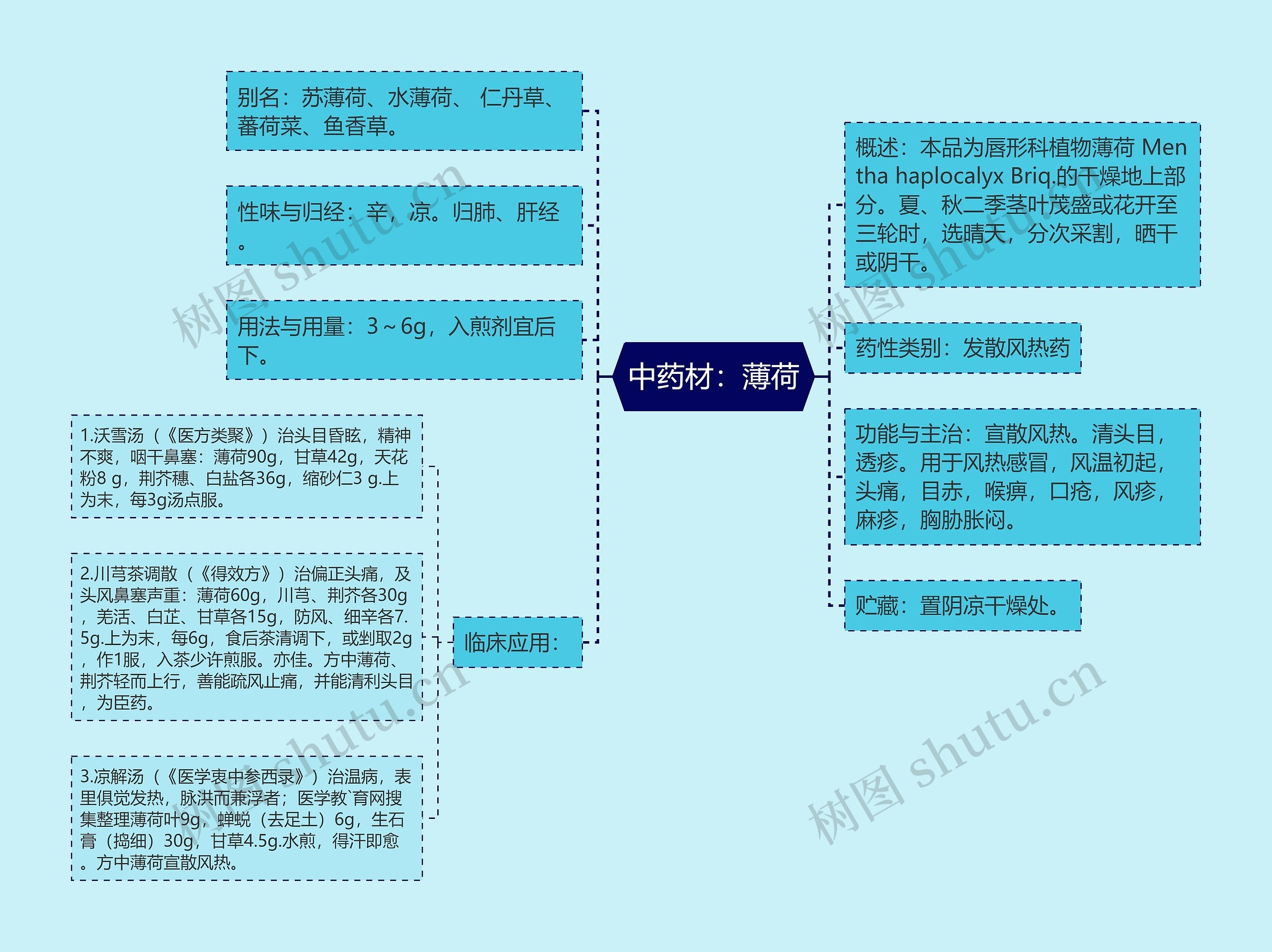 中药材：薄荷思维导图