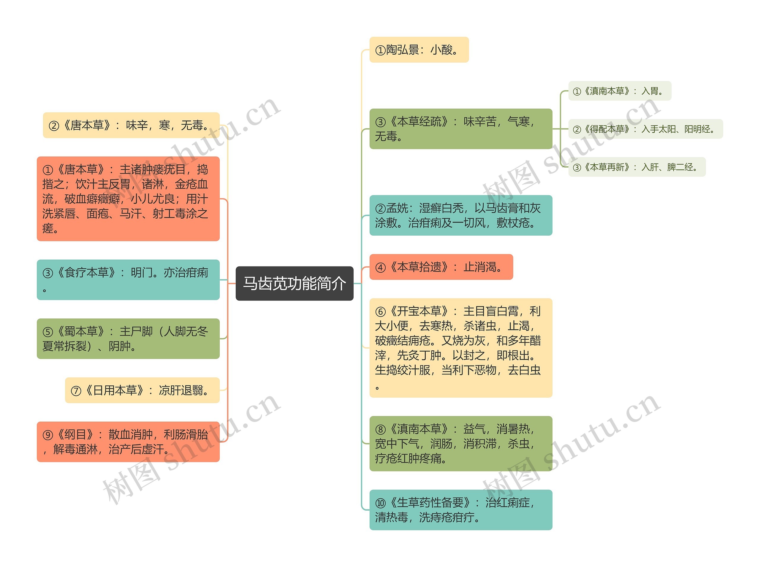 马齿苋功能简介思维导图