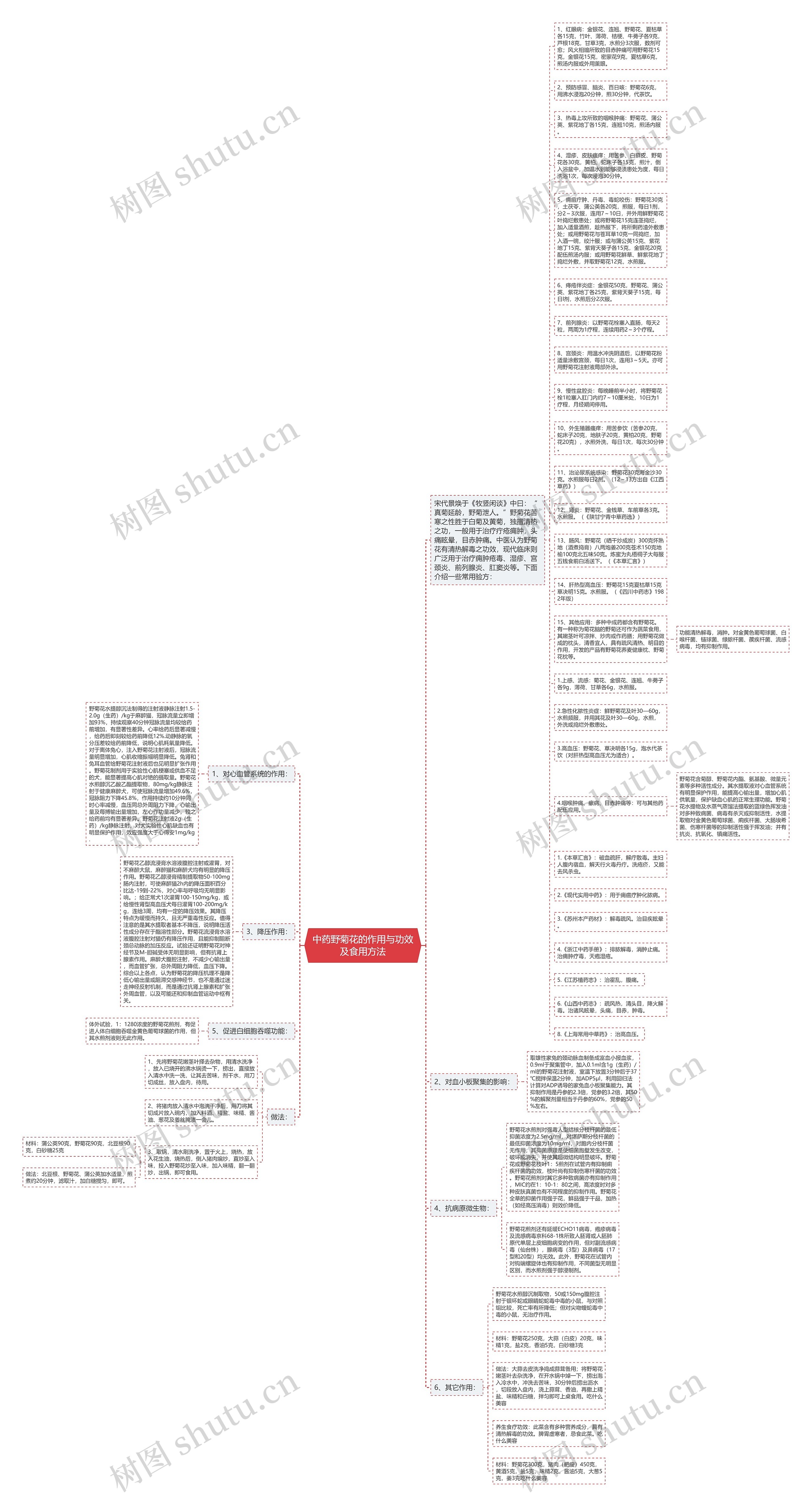 中药野菊花的作用与功效及食用方法思维导图