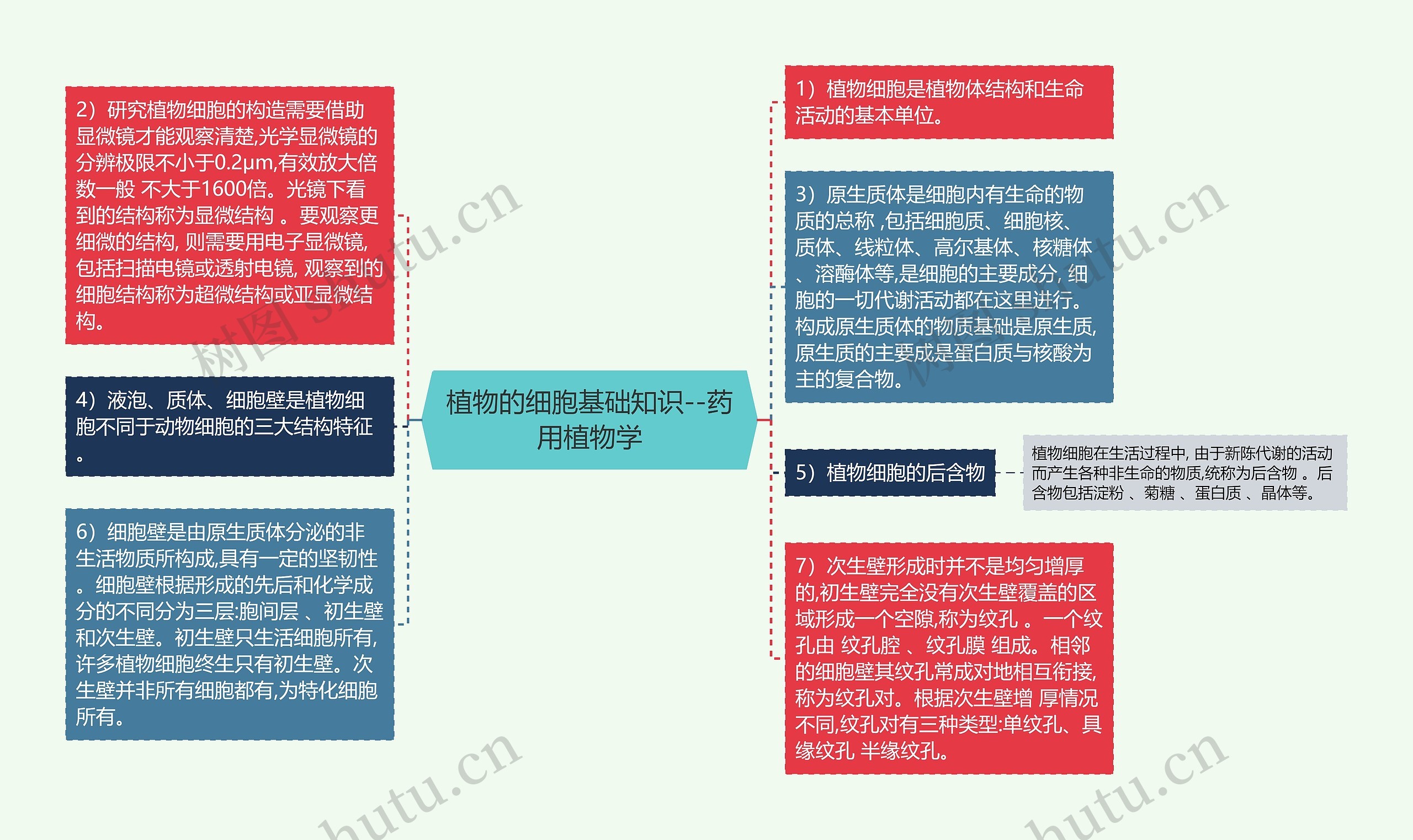 植物的细胞基础知识--药用植物学