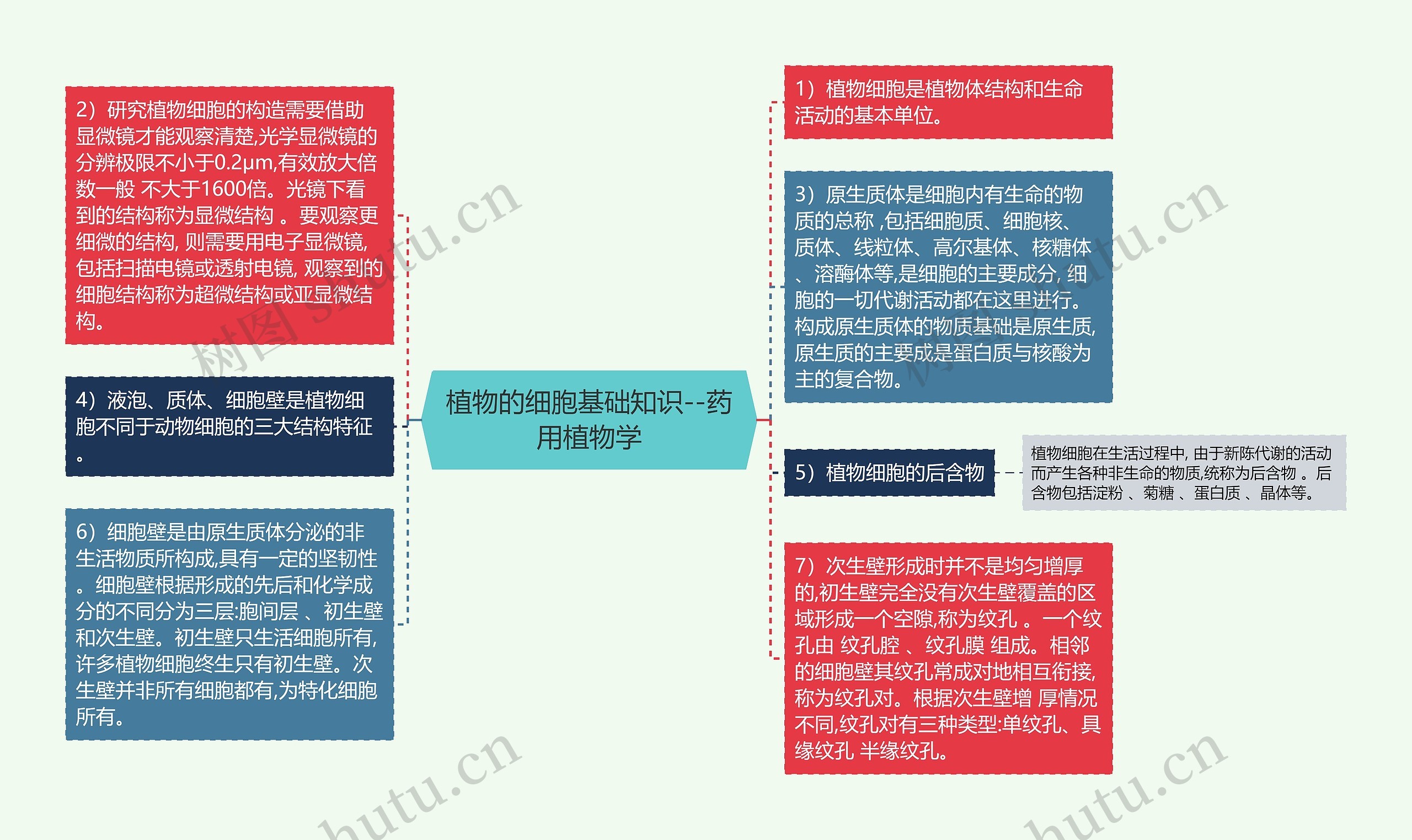 植物的细胞基础知识--药用植物学 植物的细胞基础知识--药用植物学