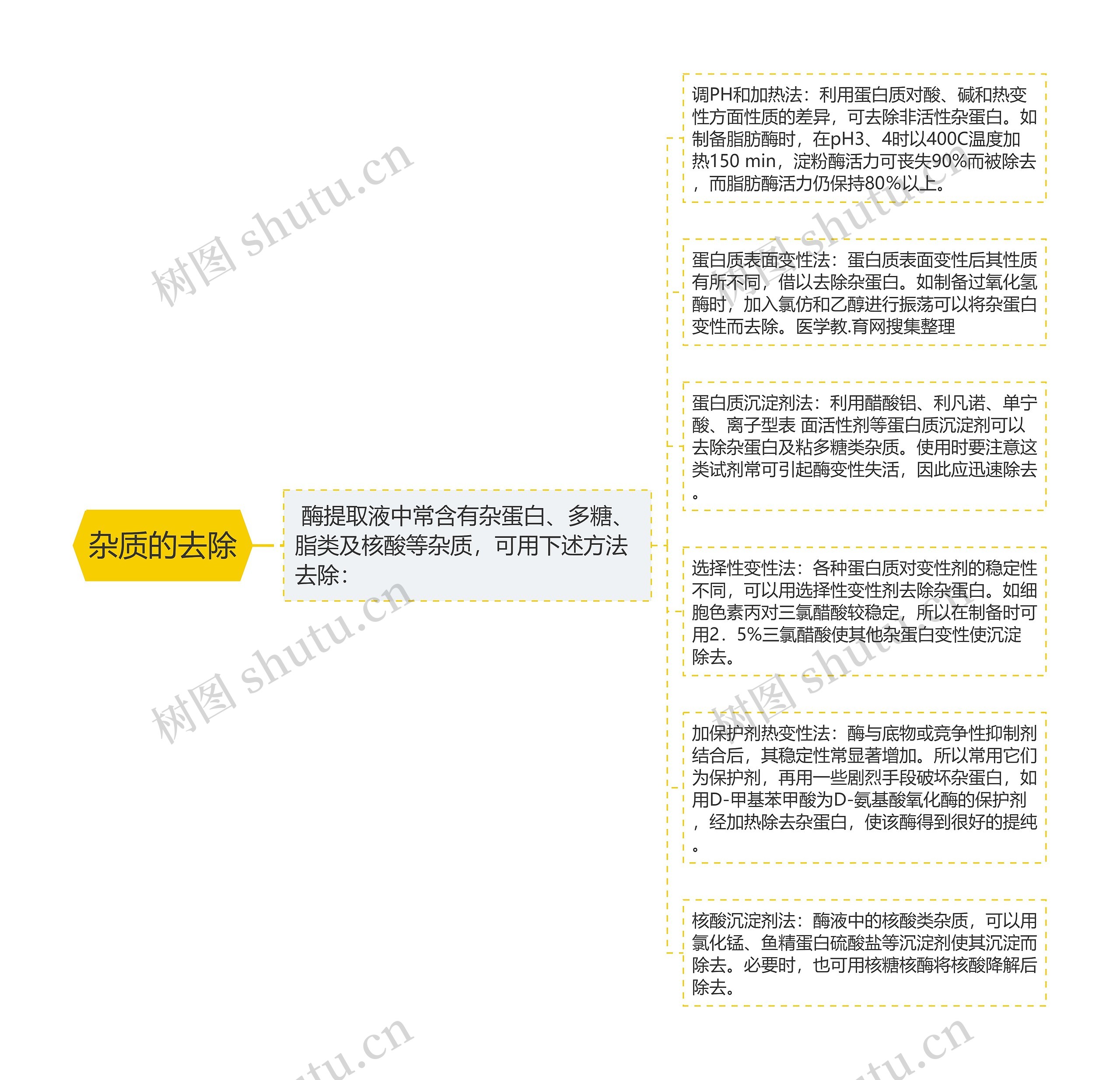 杂质的去除 杂质的去除