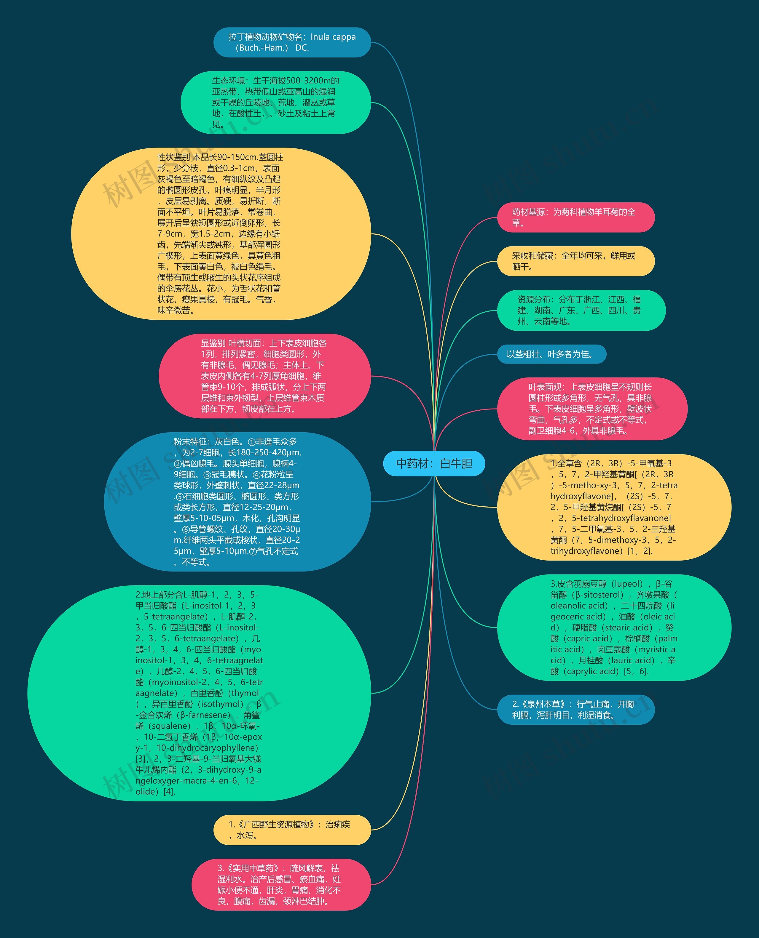 中药材：白牛胆思维导图