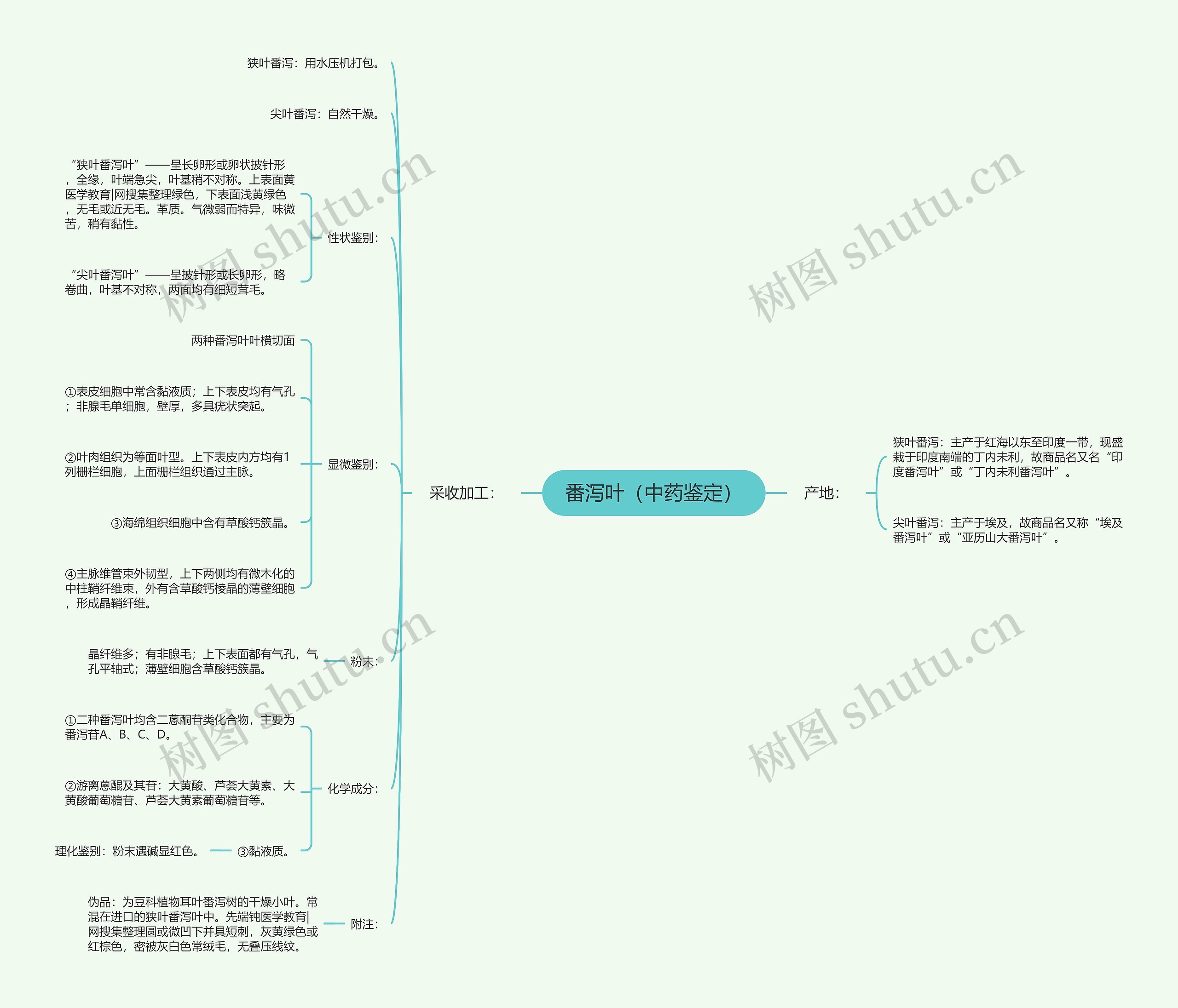 番泻叶（中药鉴定）思维导图
