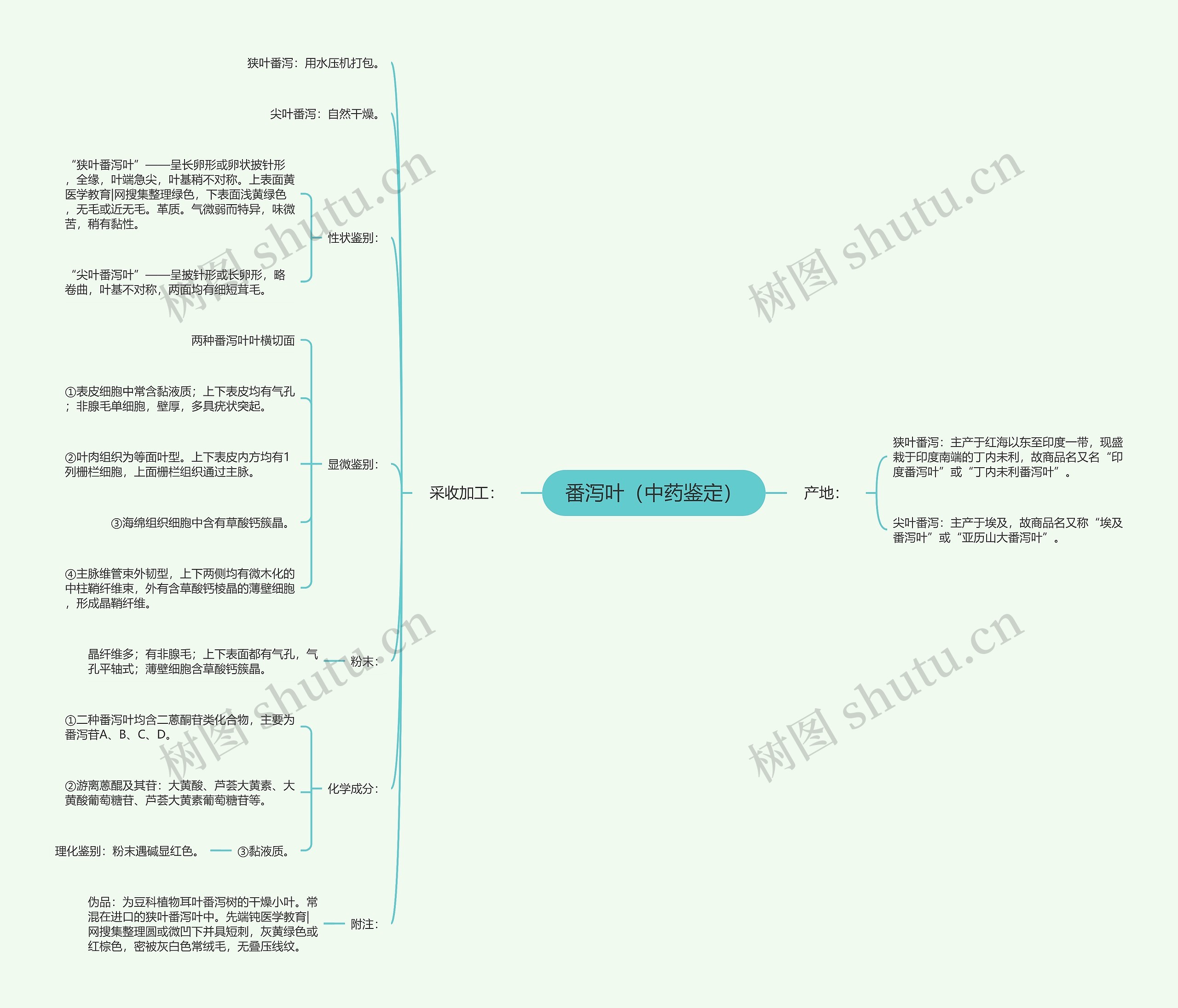 番泻叶(中药鉴定) 番泻叶(中药鉴定)
