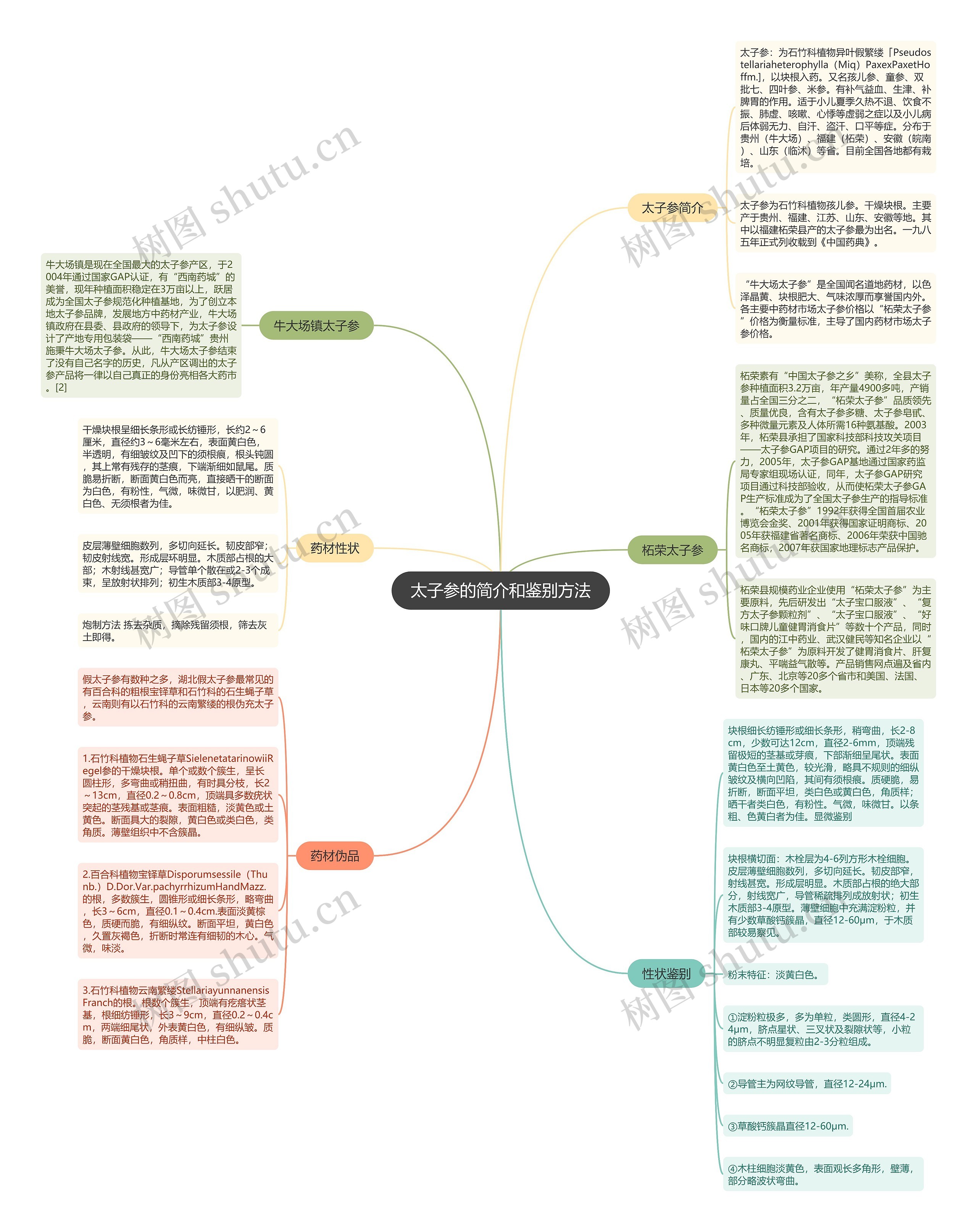 太子参的简介和鉴别方法思维导图