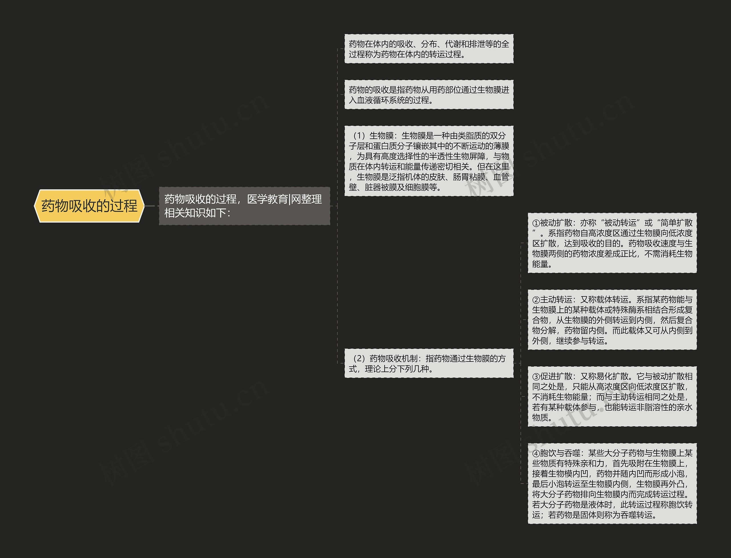 药物吸收的过程思维导图