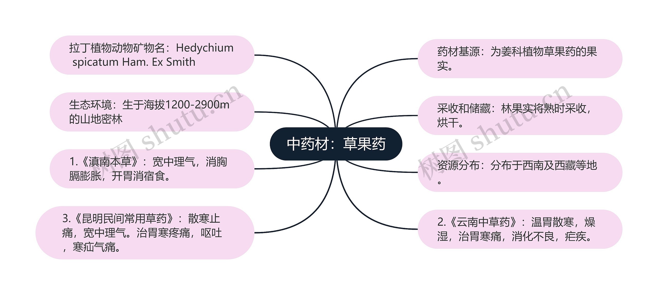 中药材：草果药