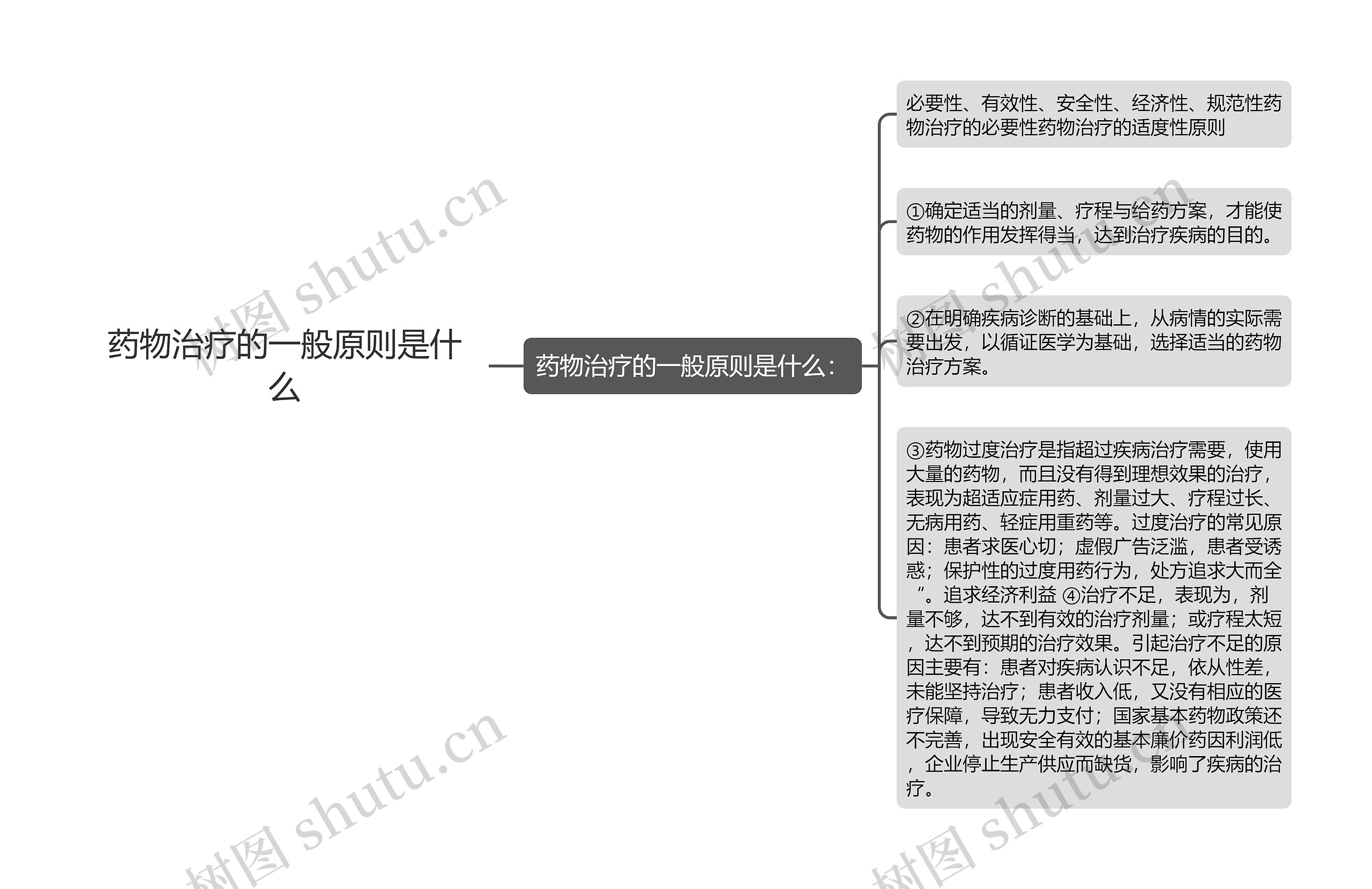 药物治疗的一般原则是什么