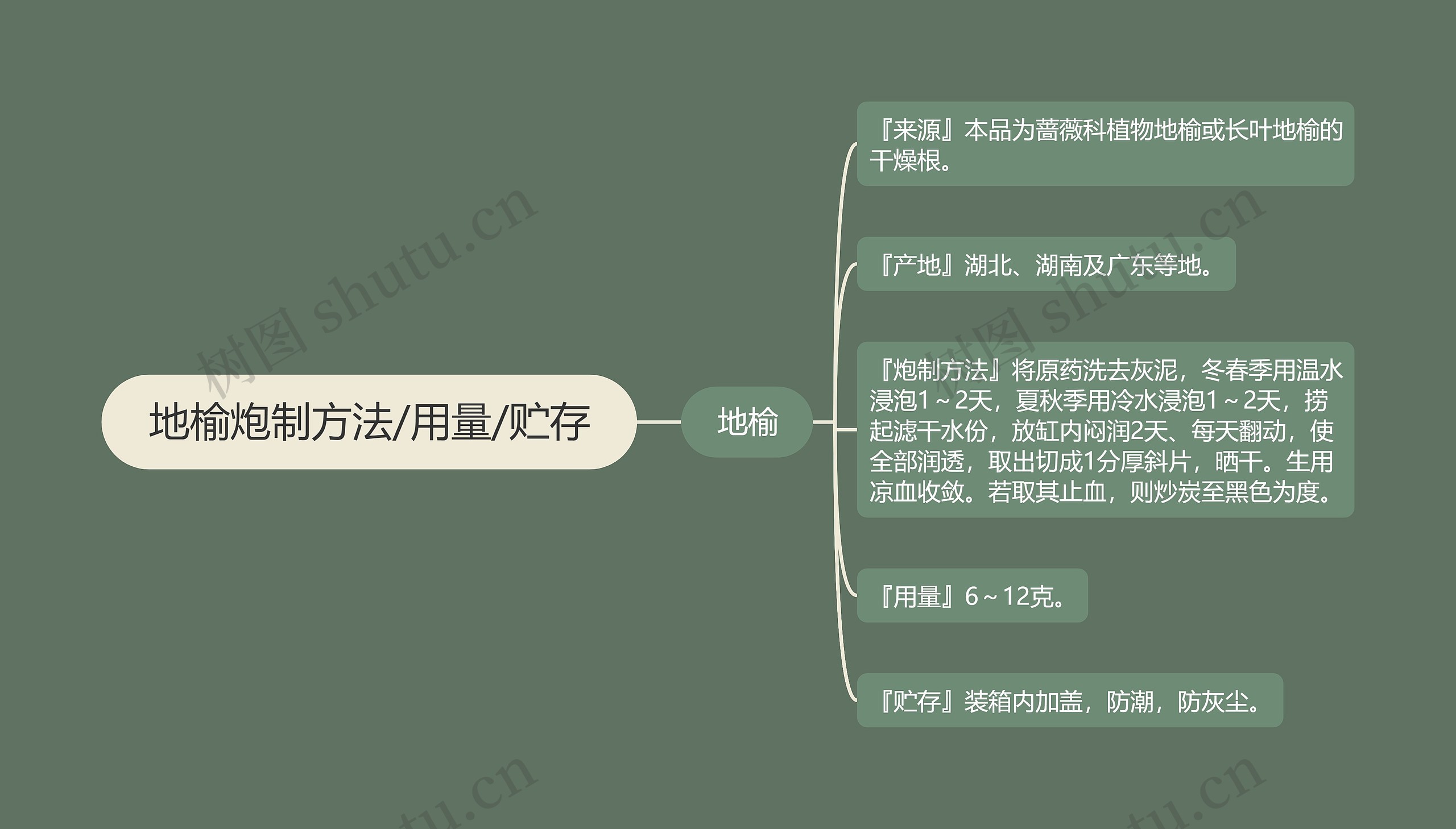 地榆炮制方法/用量/贮存思维导图