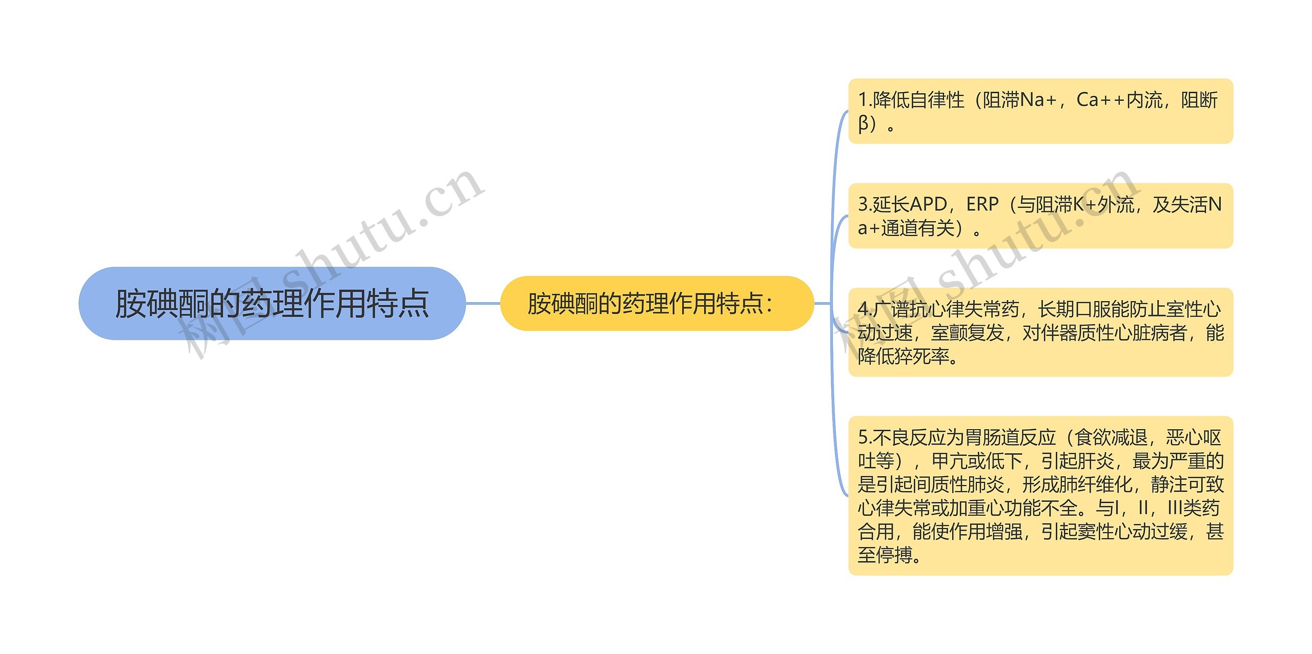 胺碘酮的药理作用特点思维导图