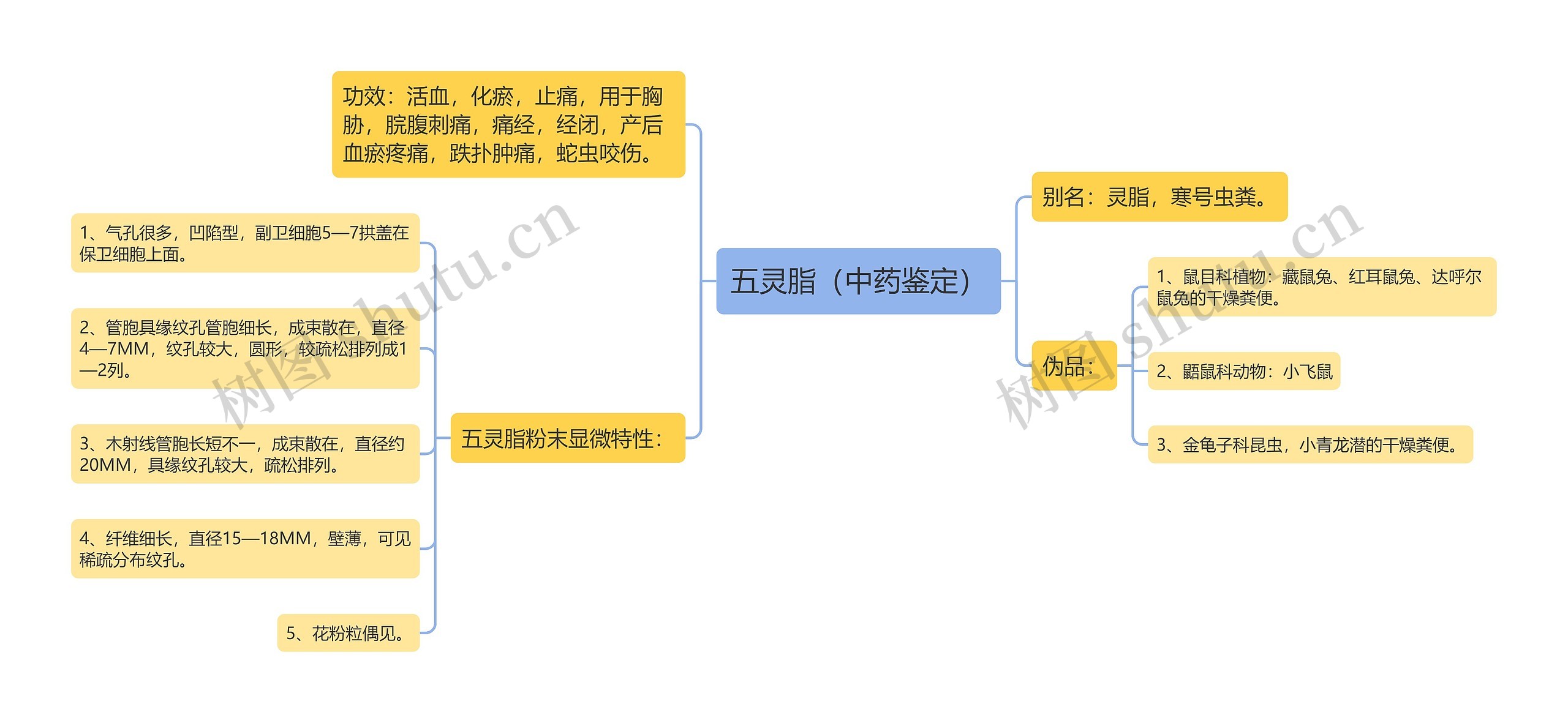 五灵脂（中药鉴定）思维导图