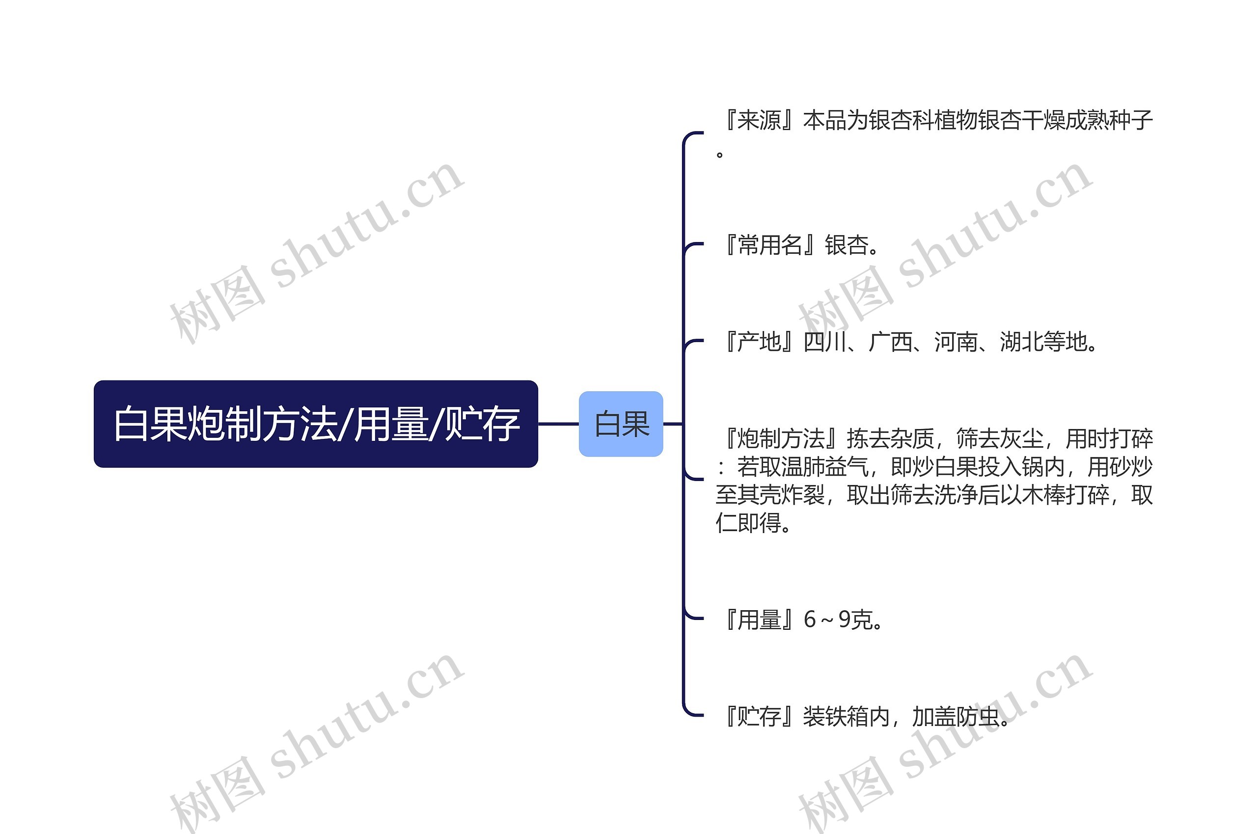 白果炮制方法/用量/贮存思维导图