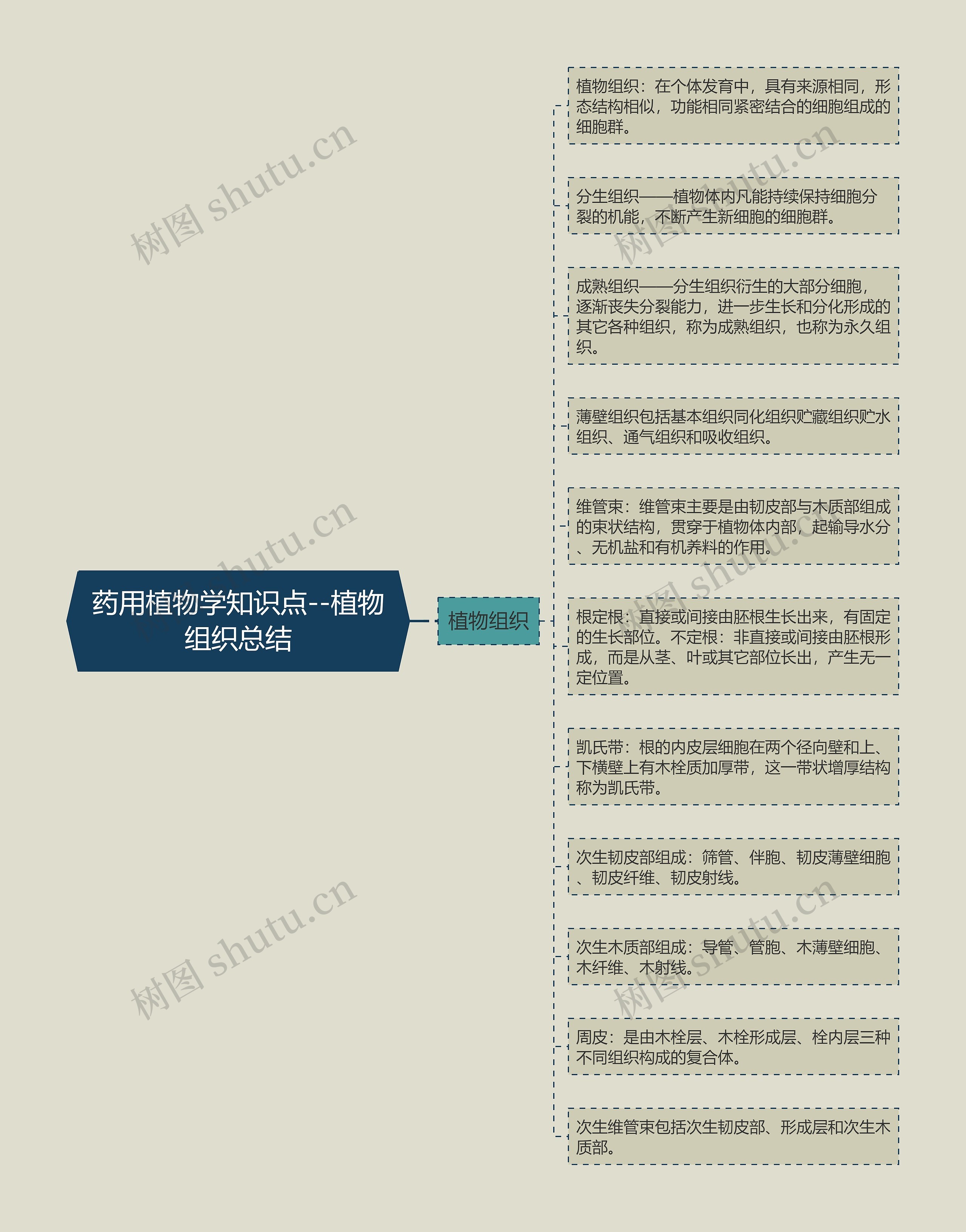 药用植物学知识点--植物组织总结 药用植物学知识点--植物组织总结