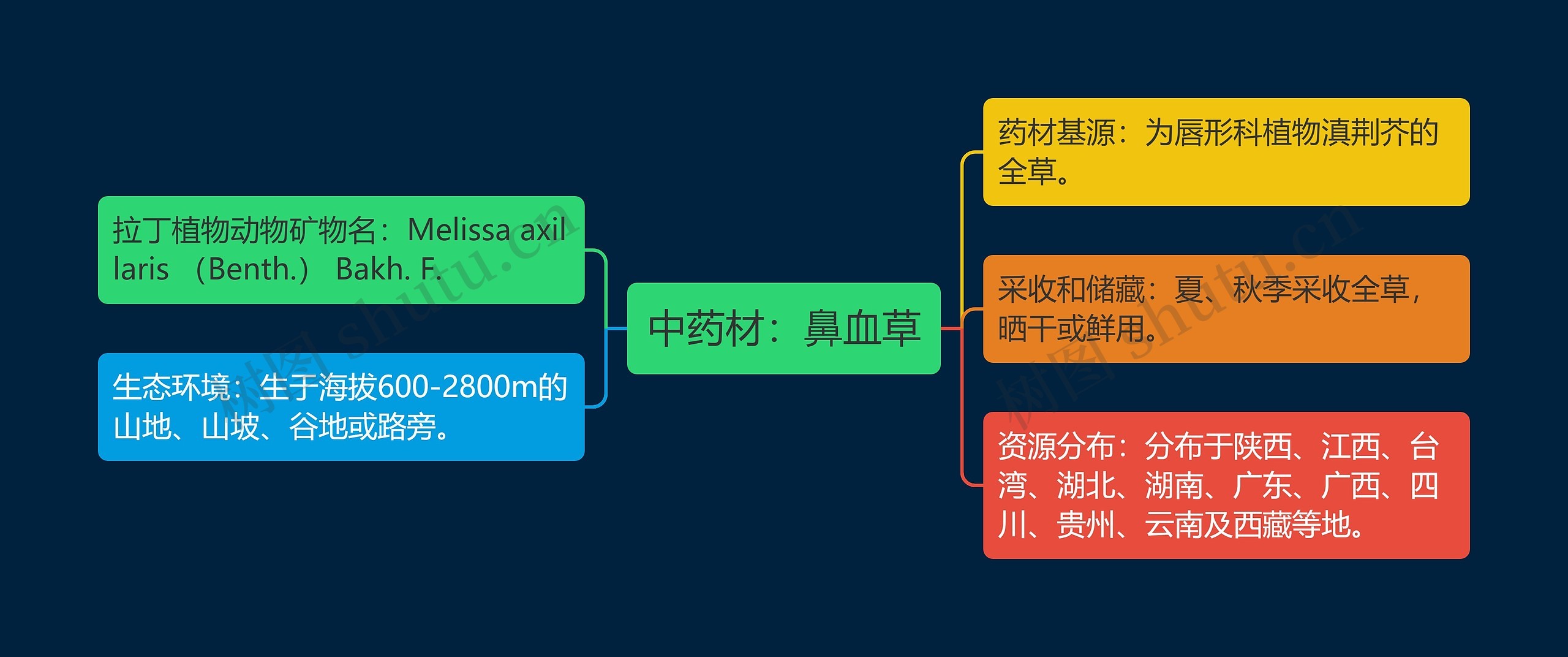 中药材：鼻血草思维导图