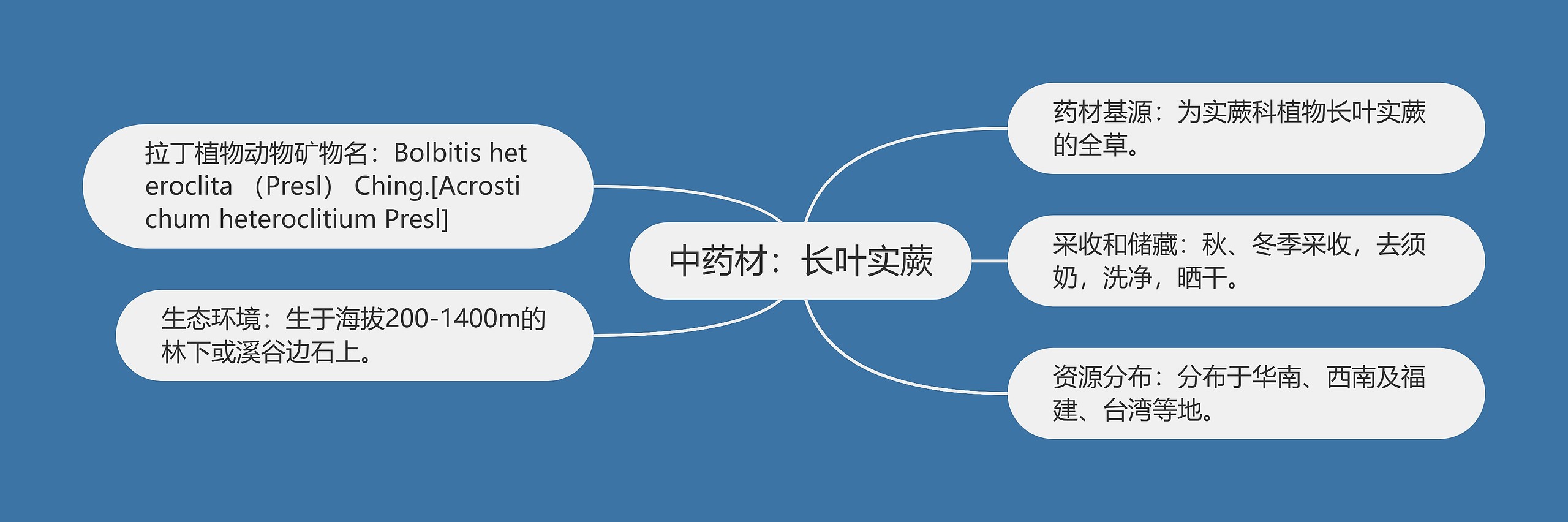 中药材：长叶实蕨思维导图