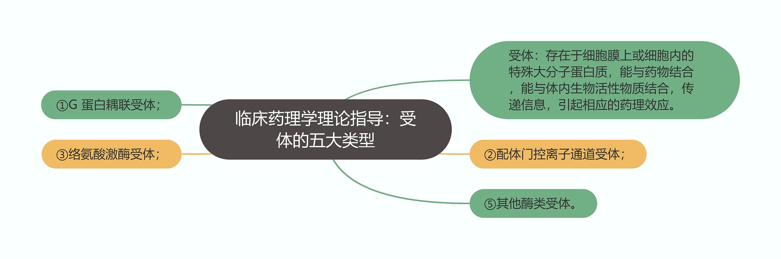 临床药理学理论指导：受体的五大类型思维导图