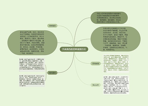 升麻真伪的四种鉴别方法