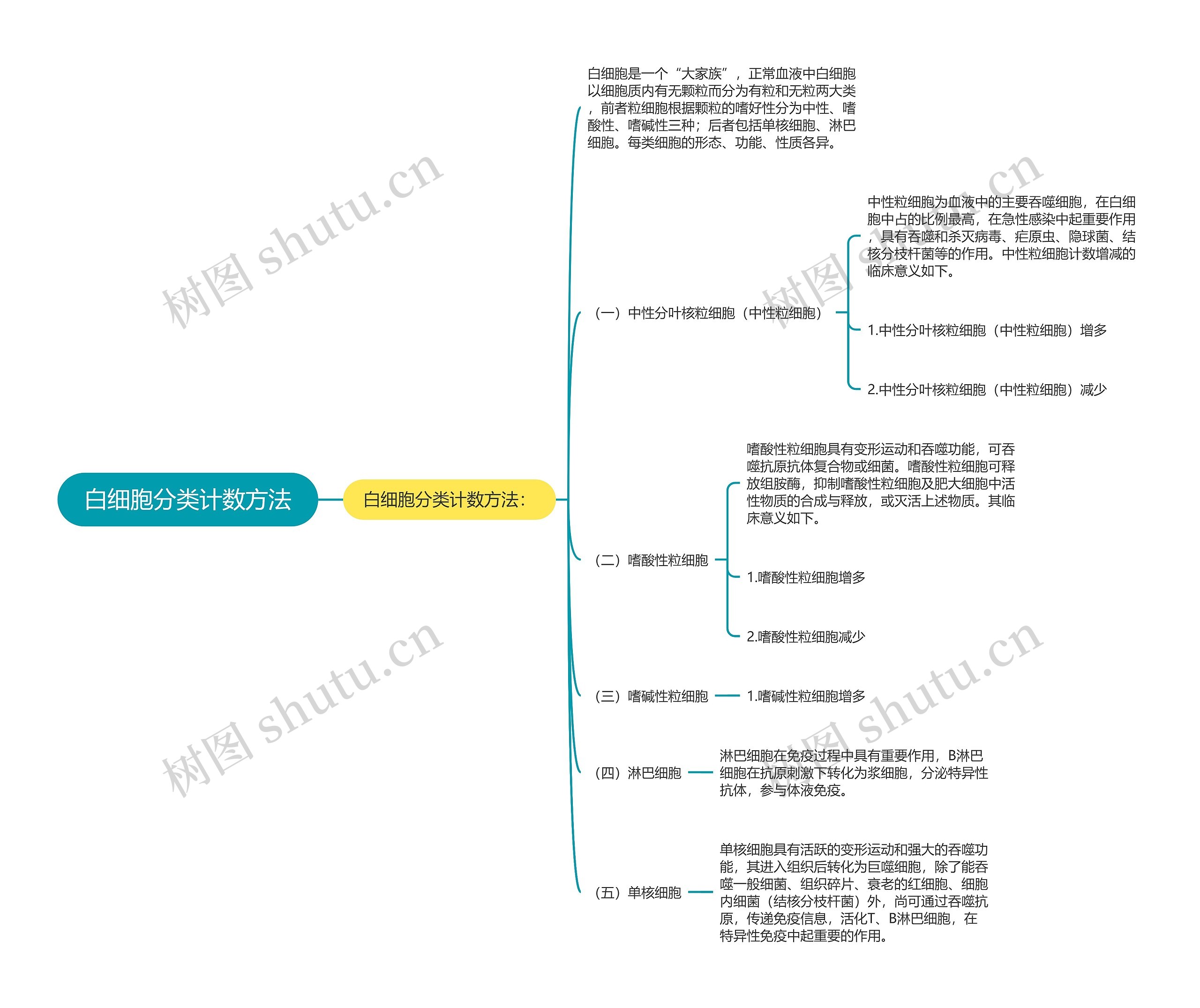 白细胞分类计数方法