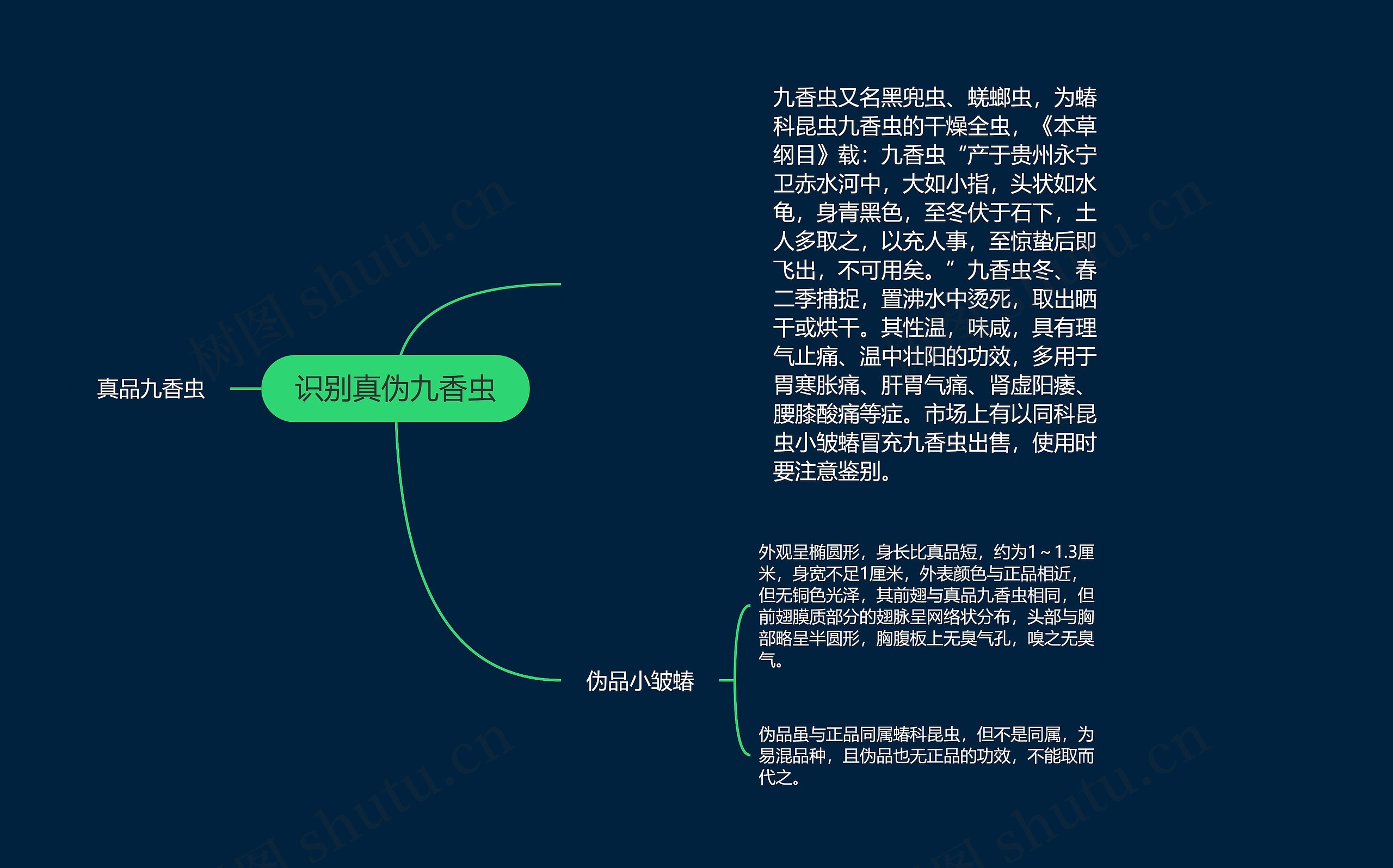 识别真伪九香虫