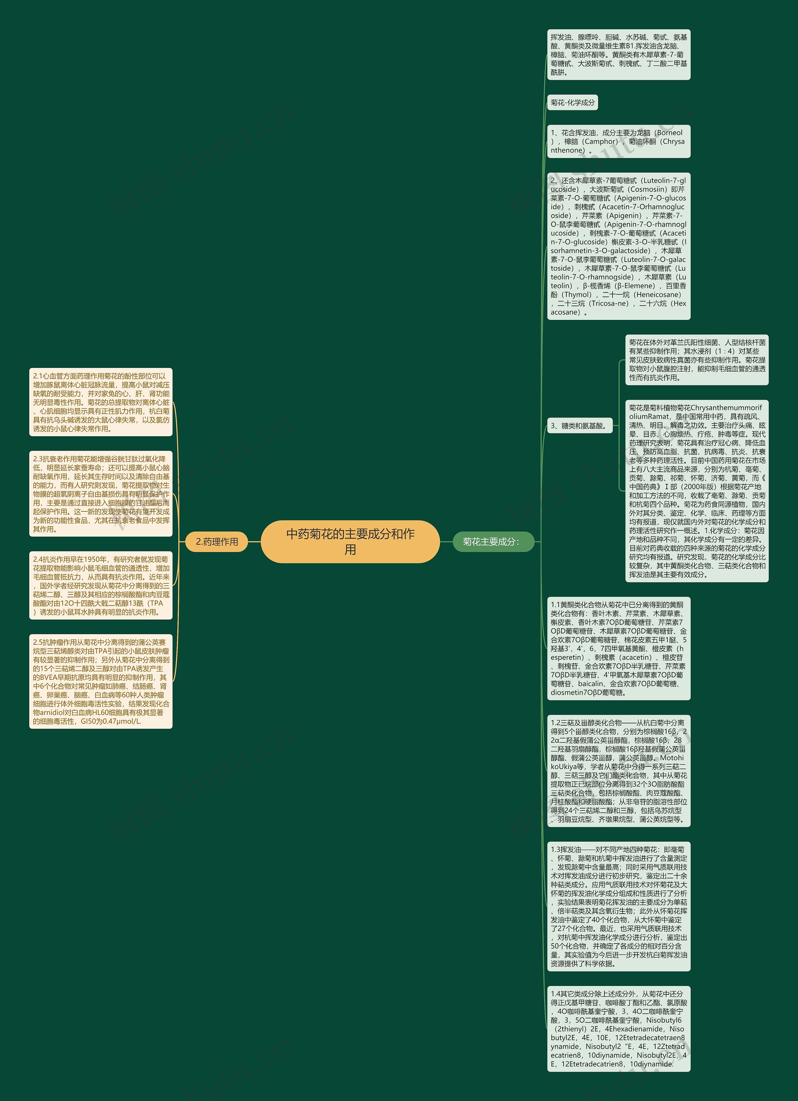 中药菊花的主要成分和作用思维导图