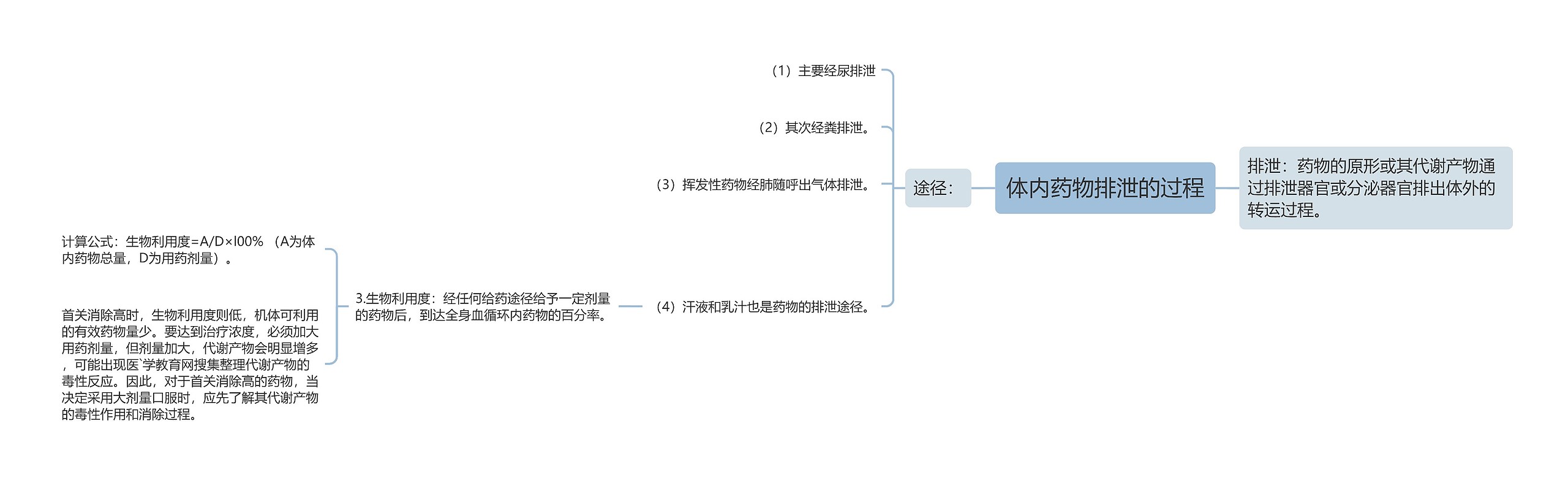 体内药物排泄的过程思维导图