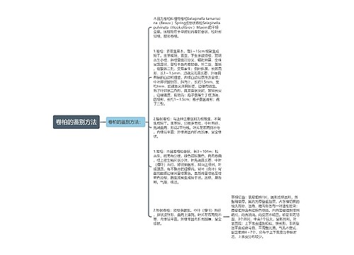 卷柏的鉴别方法