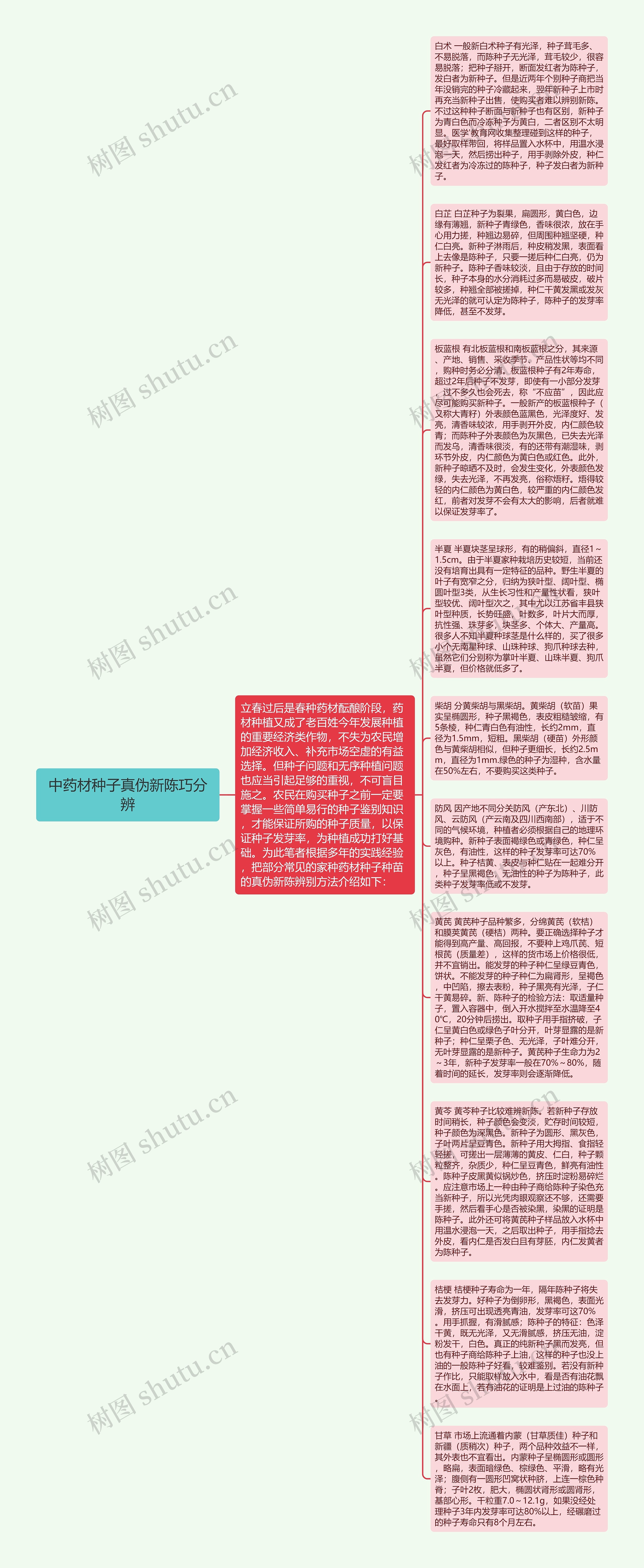 中药材种子真伪新陈巧分辨思维导图