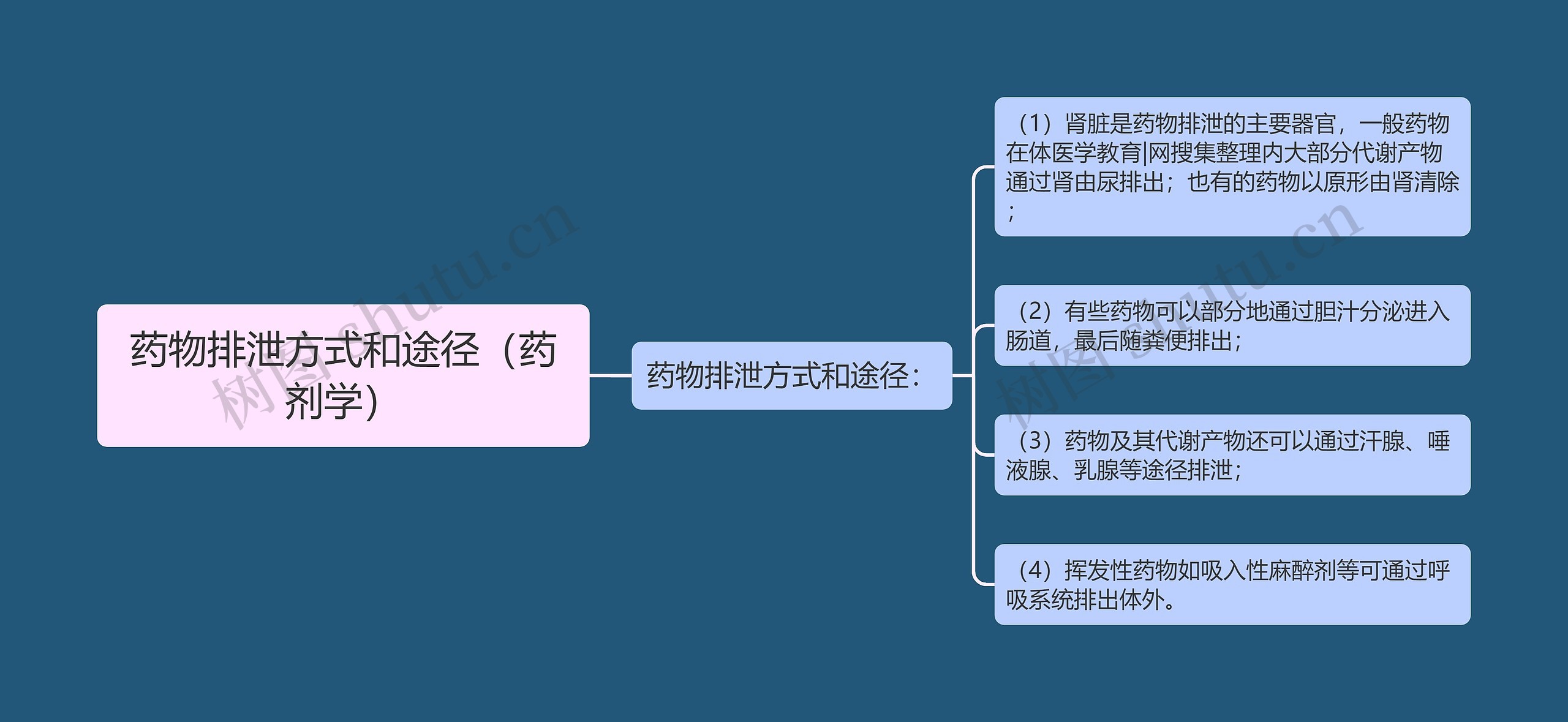 药物排泄方式和途径（药剂学）