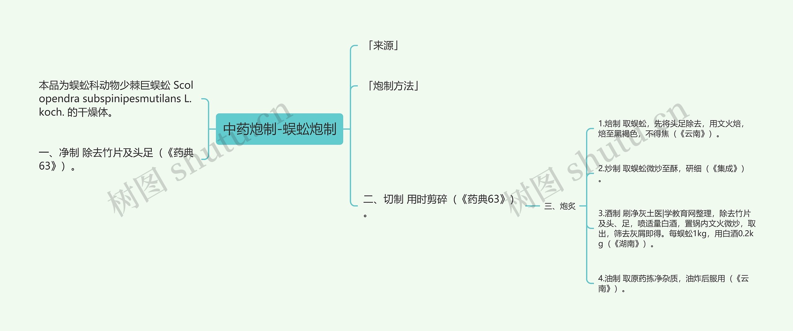 中药炮制-蜈蚣炮制思维导图