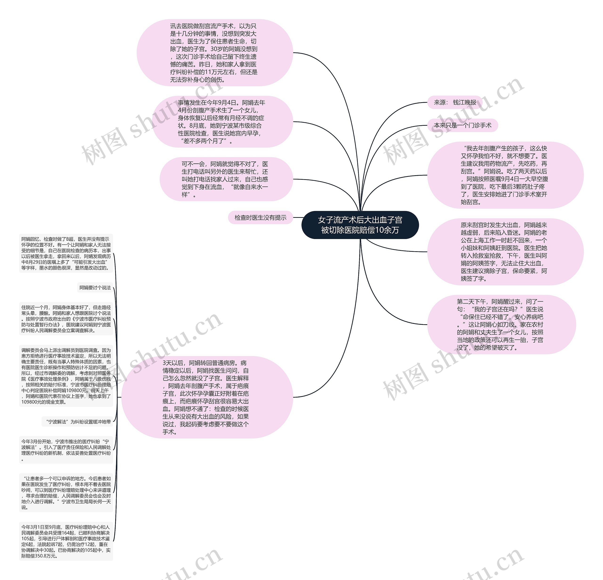 女子流产术后大出血子宫被切除医院赔偿10余万思维导图