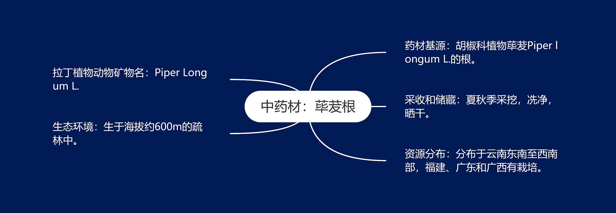 中药材:荜茇根 中药材:荜茇根