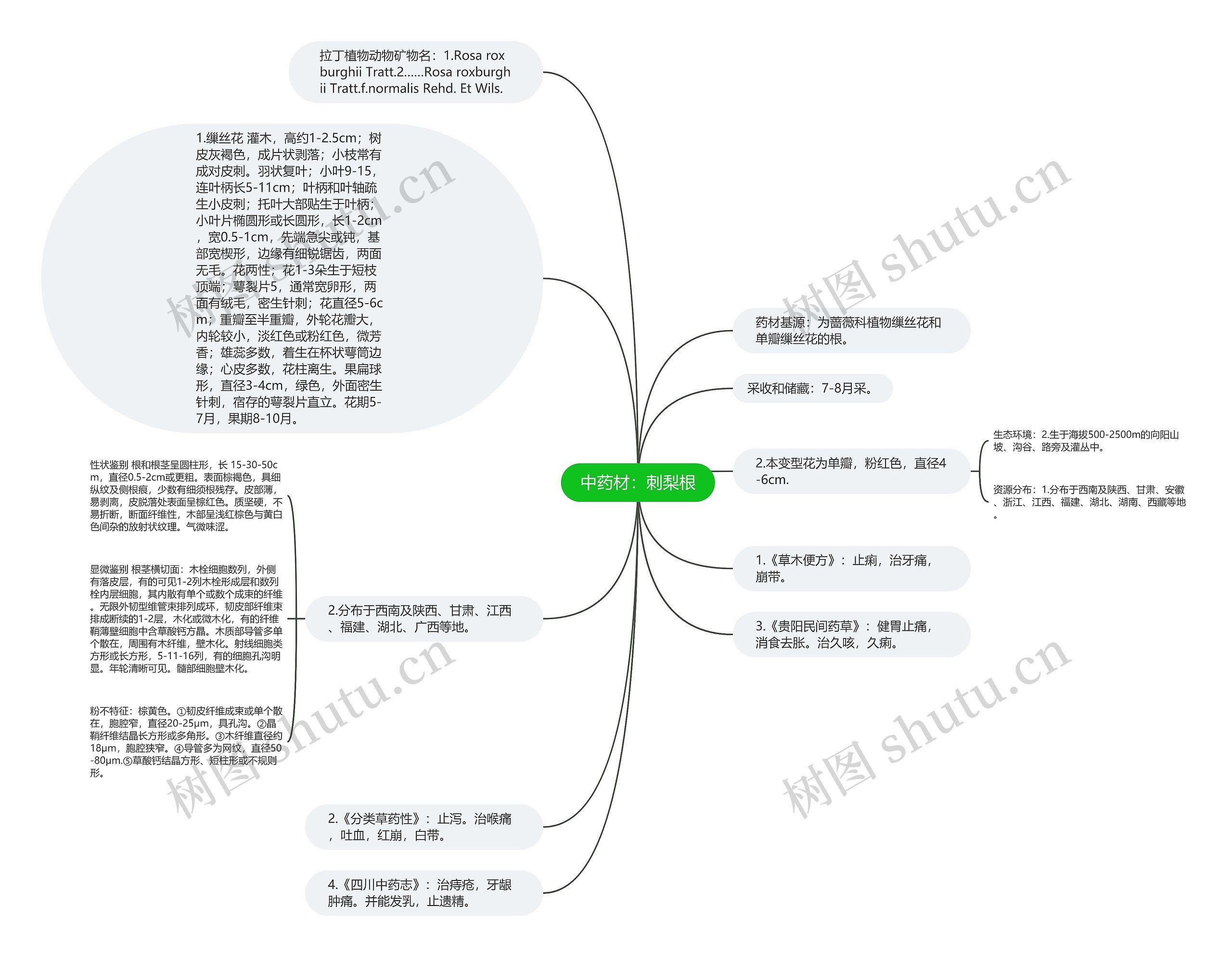 中药材：刺梨根思维导图