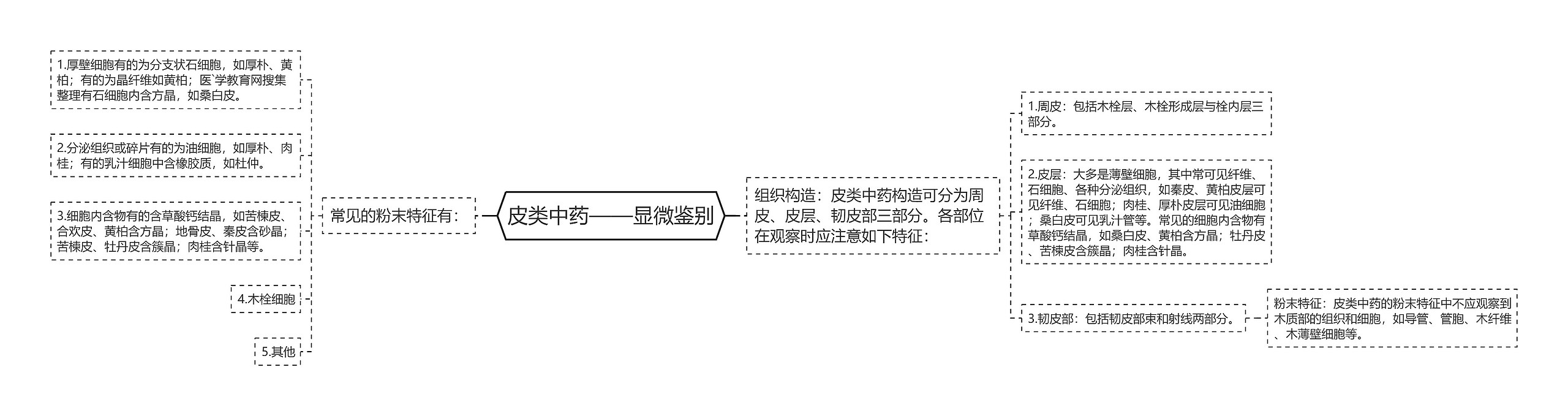 皮类中药——显微鉴别