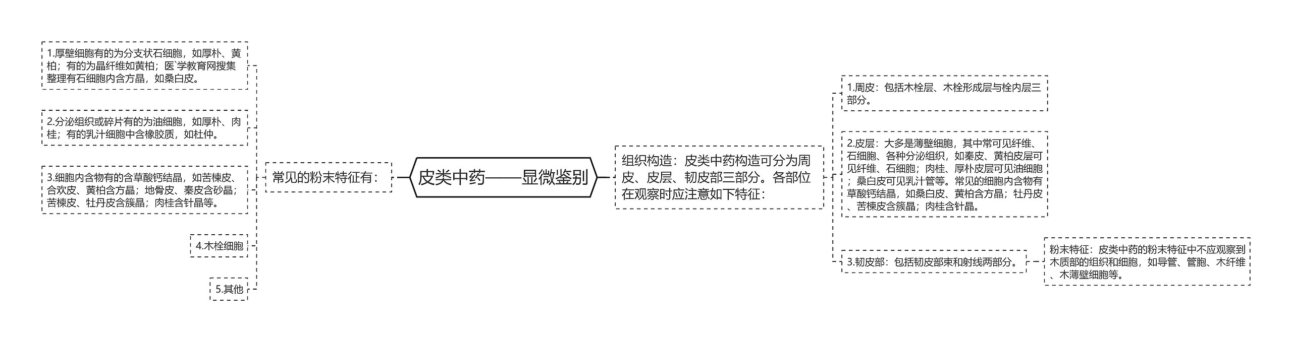 皮类中药——显微鉴别 皮类中药——显微鉴别