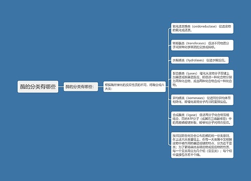 酶的分类有哪些